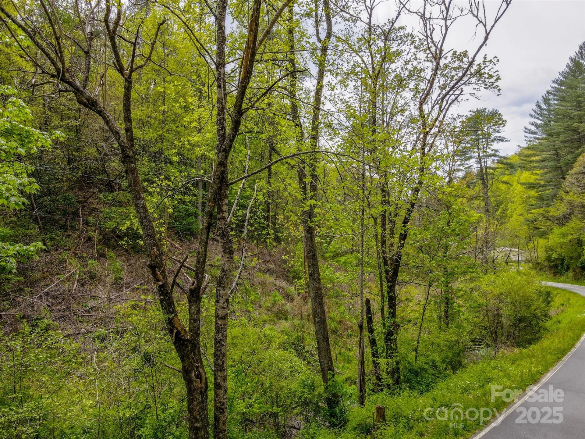 2360 Wayehutta Road - Photo 6