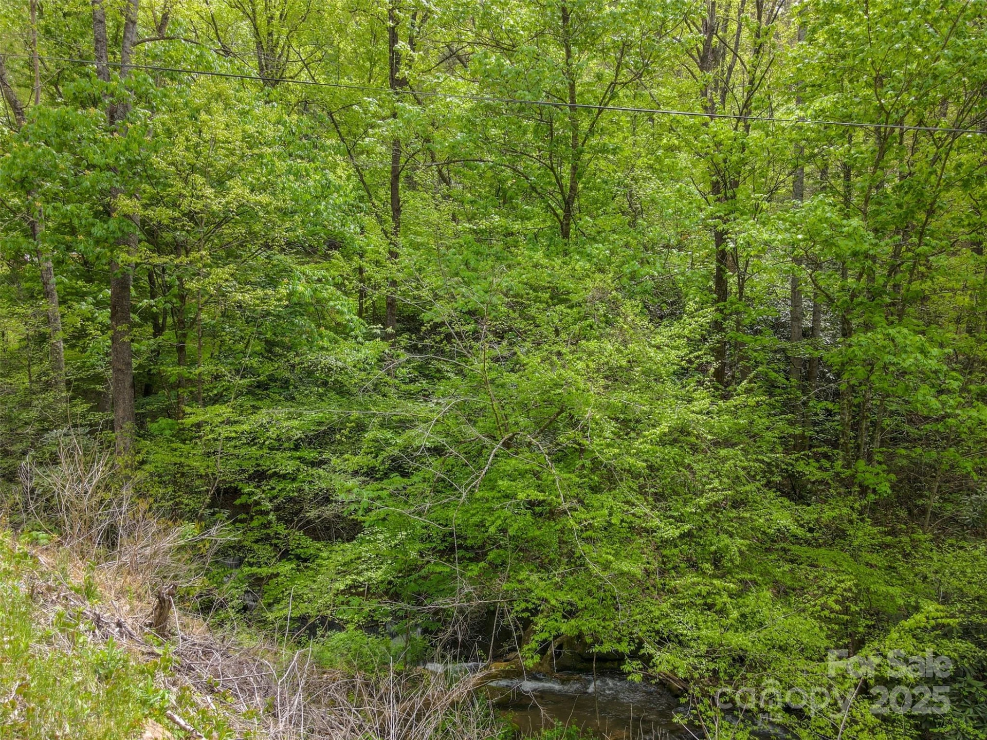 2360 Wayehutta Road - Photo 7