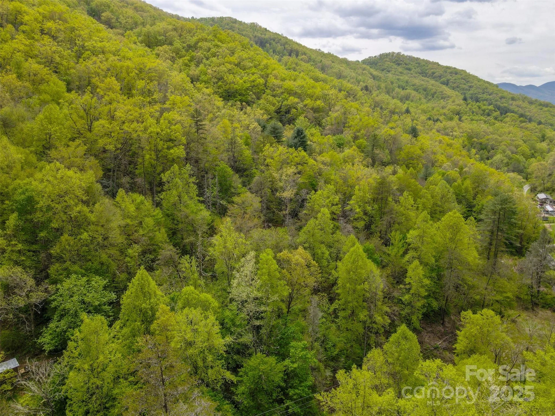 2360 Wayehutta Road - Photo 8