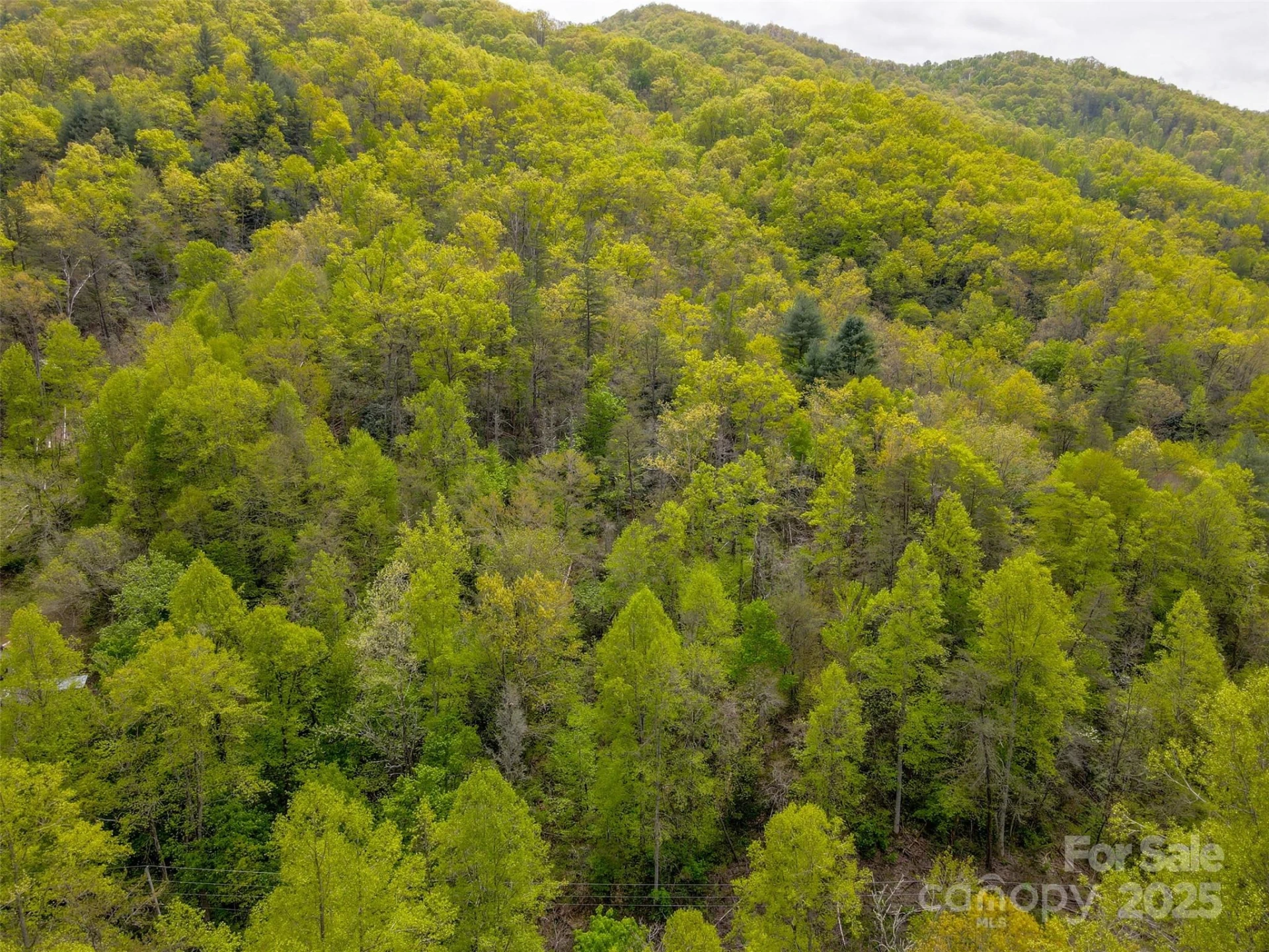 2360 Wayehutta Road - Photo 9