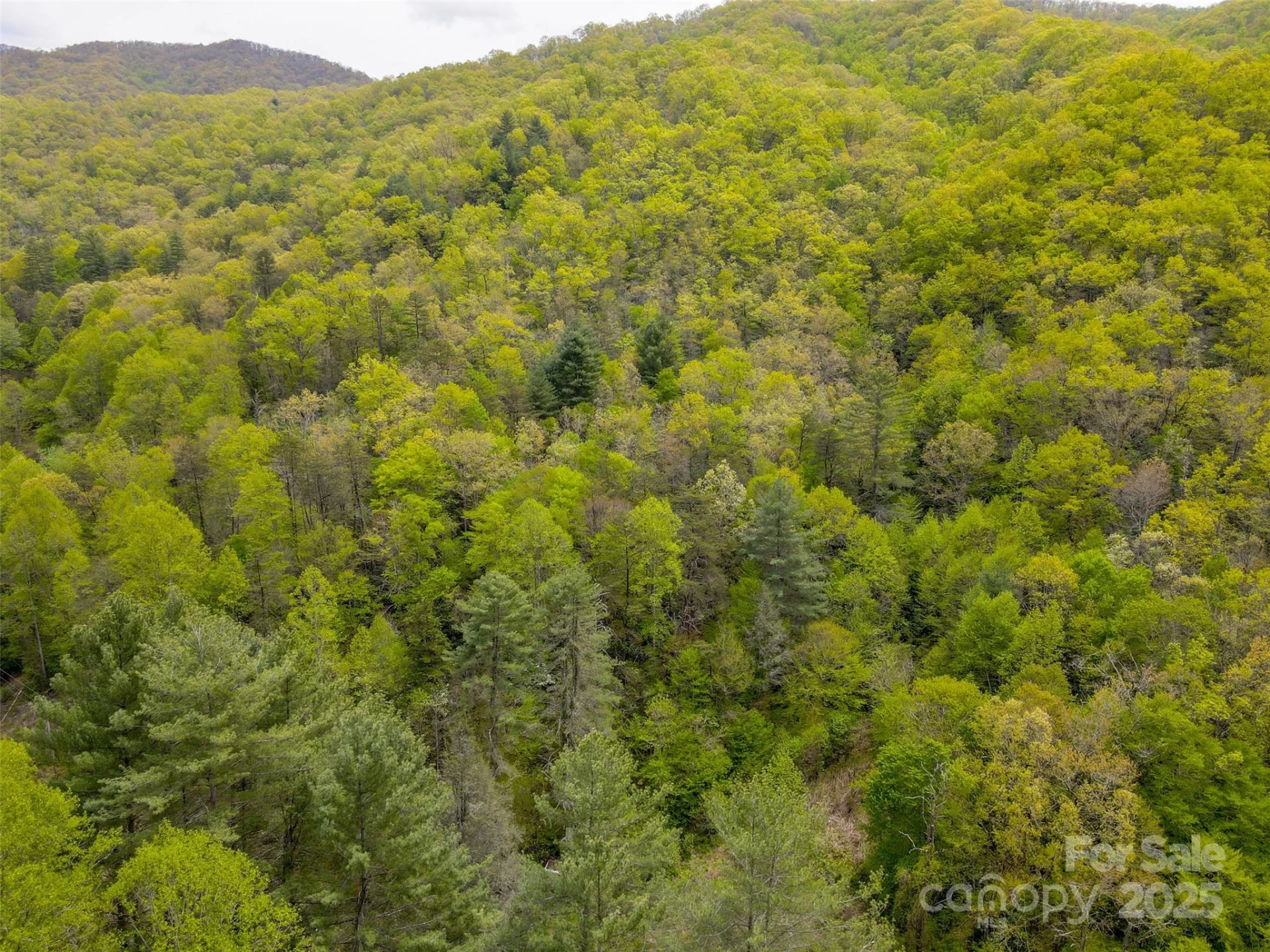 2360 Wayehutta Road - Photo 10