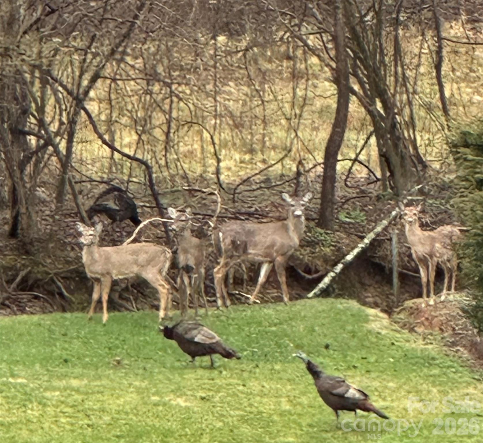 303 Constitution Drive - Photo 48