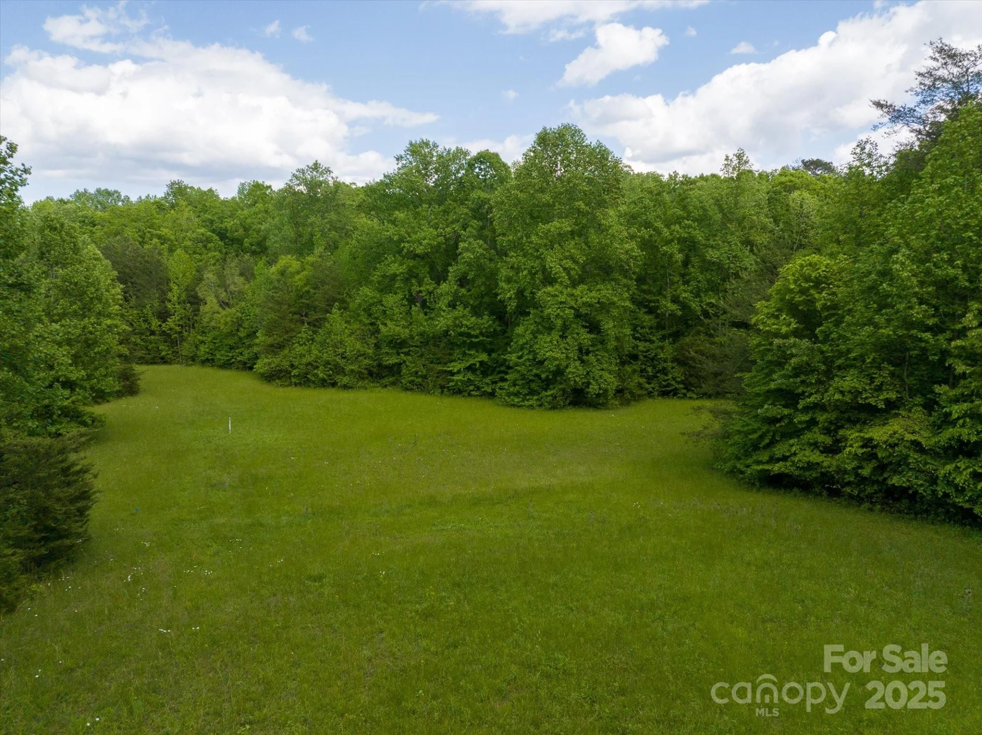 0 Mills Street - Photo 16