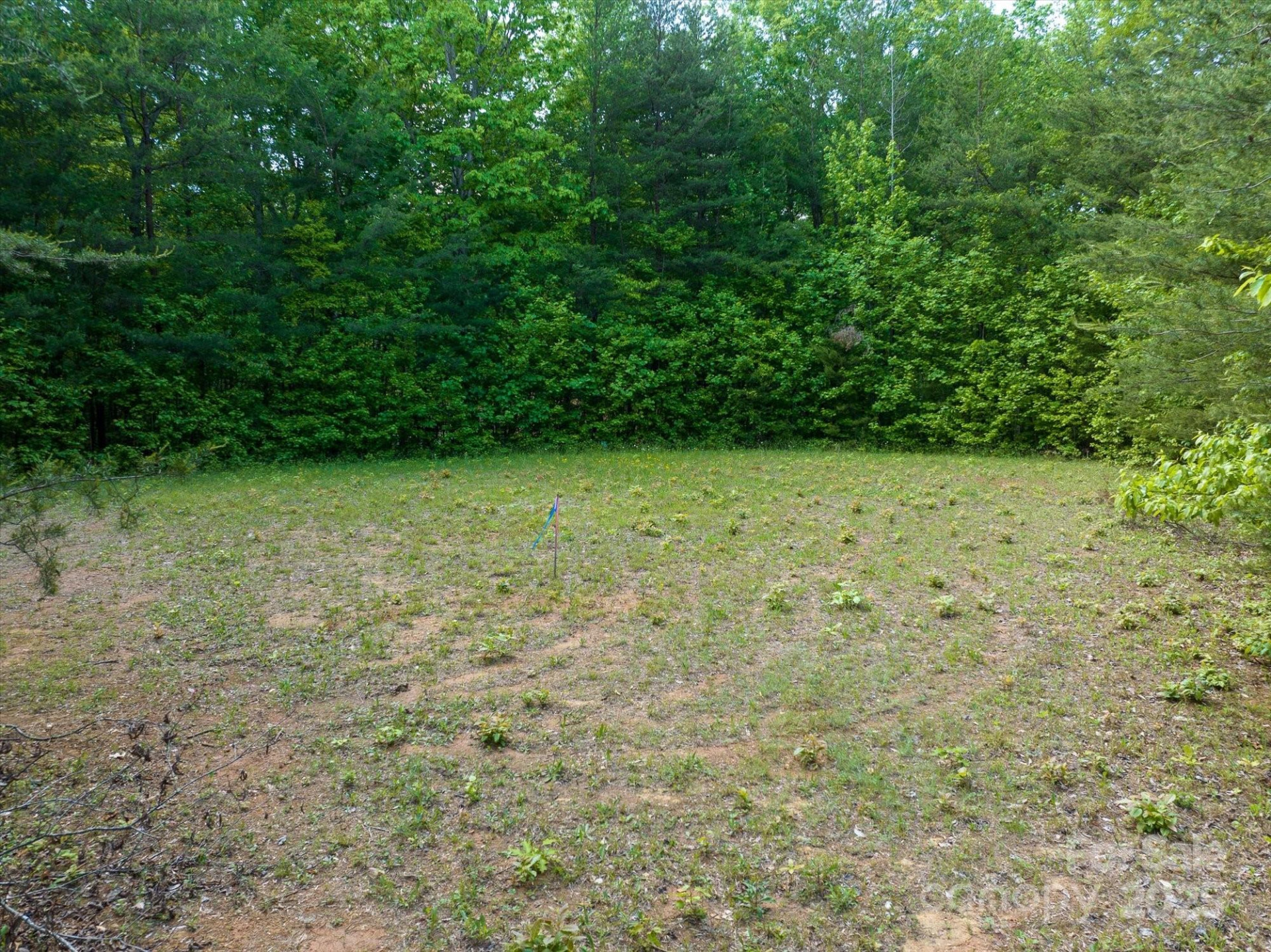 899 Mills Street - Photo 19