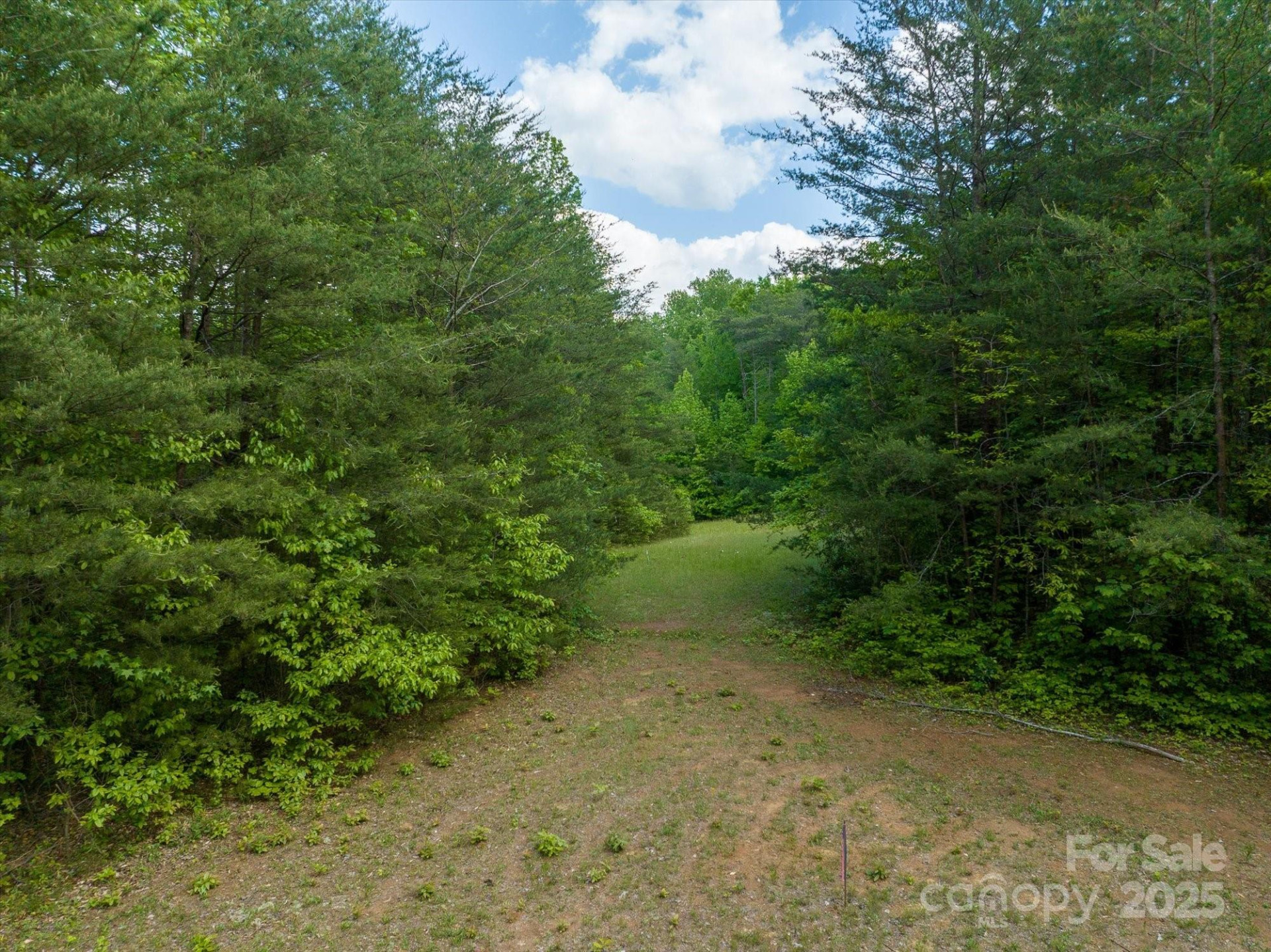 899 Mills Street - Photo 20