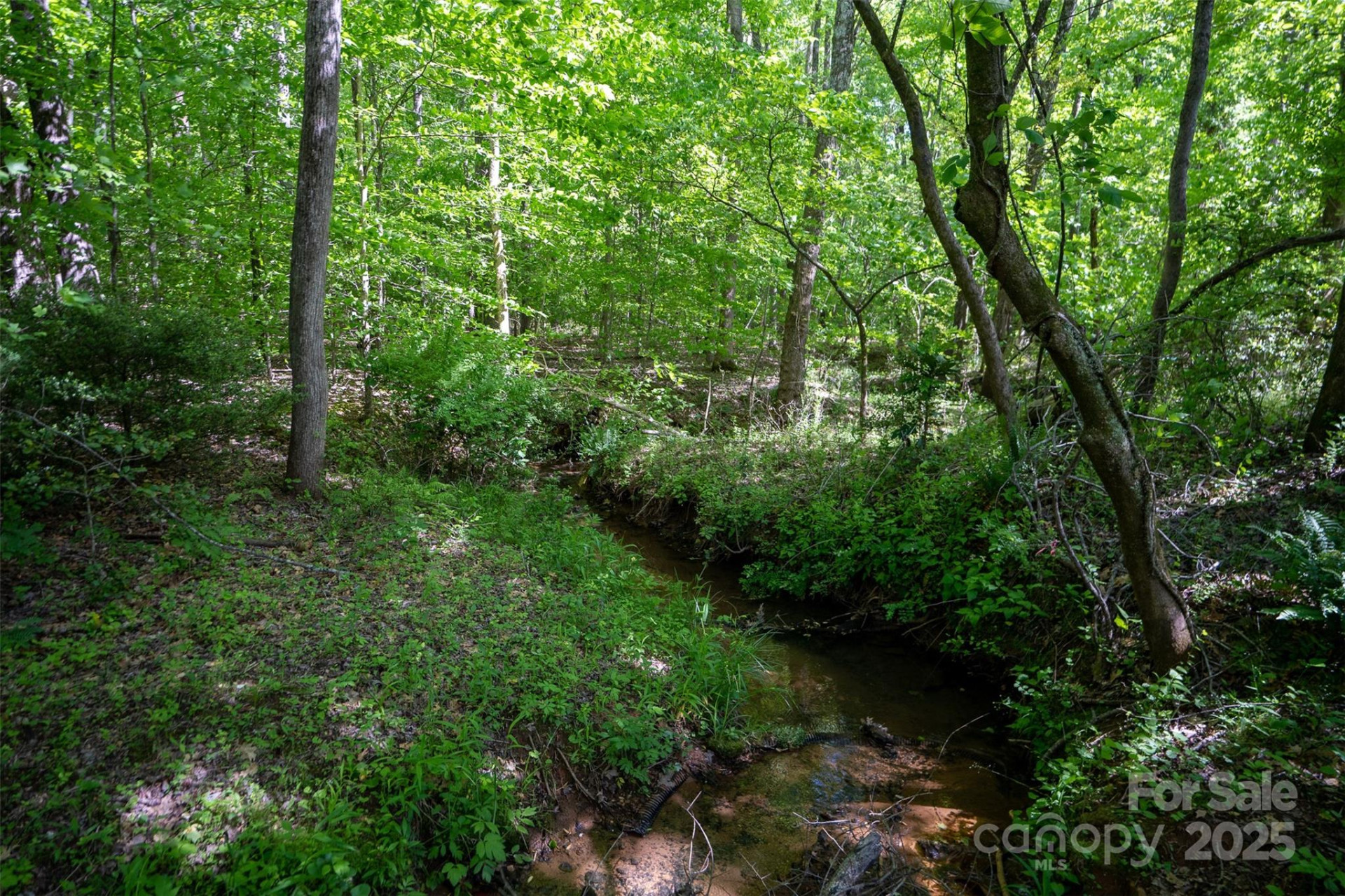 899 Mills Street - Photo 22