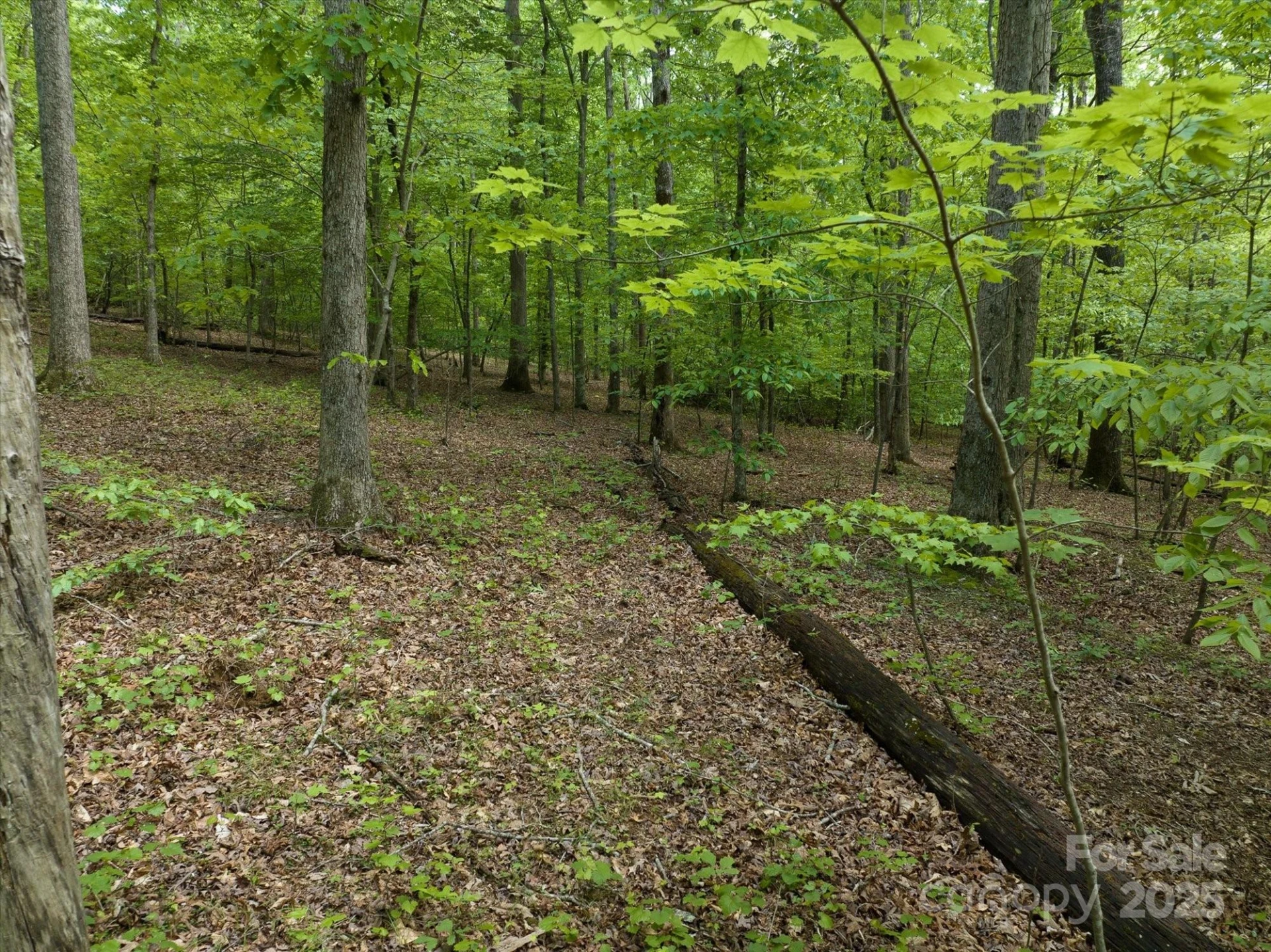 0 Mills Street - Photo 26
