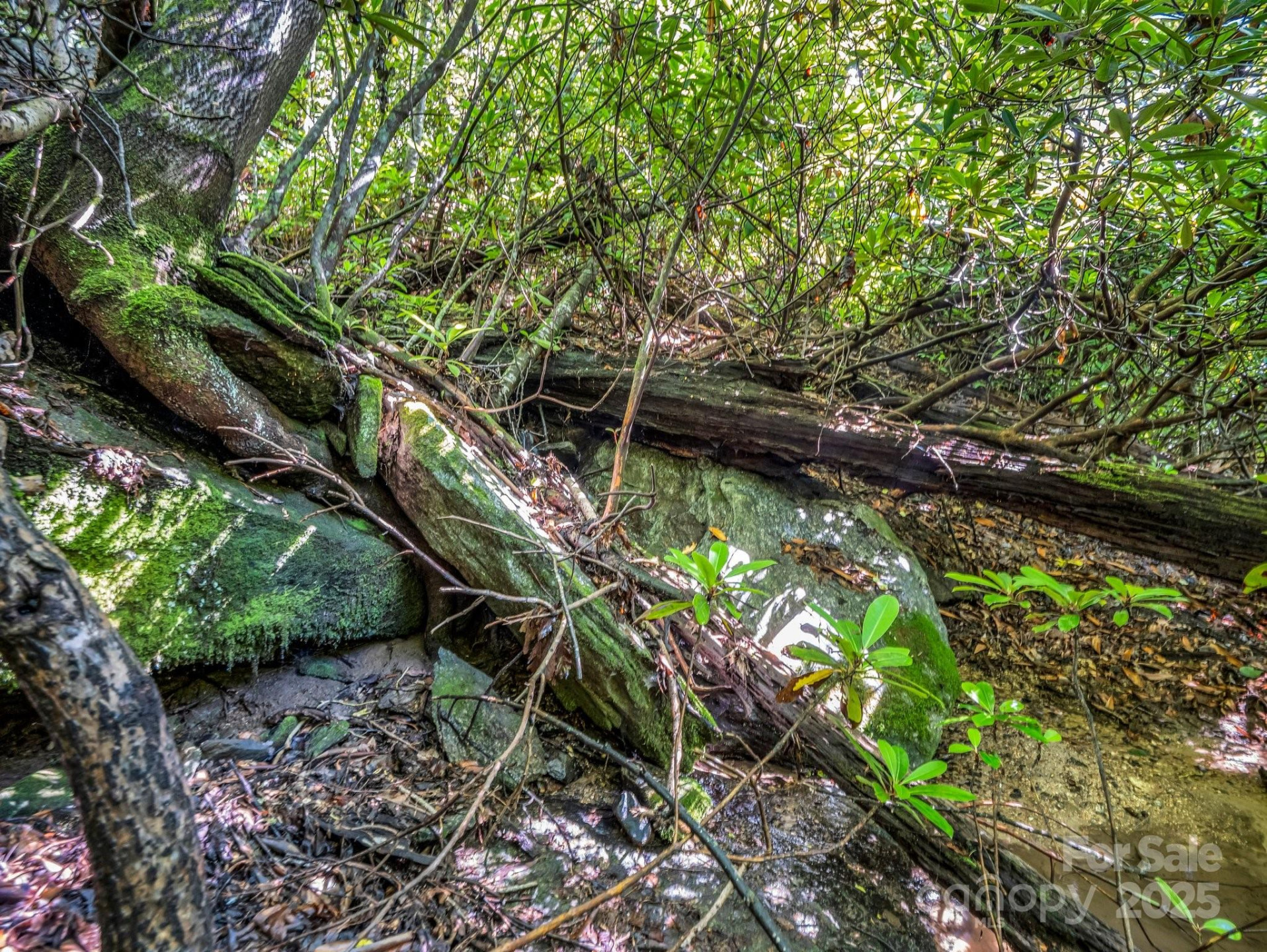 000 Climbing Road - Photo 11