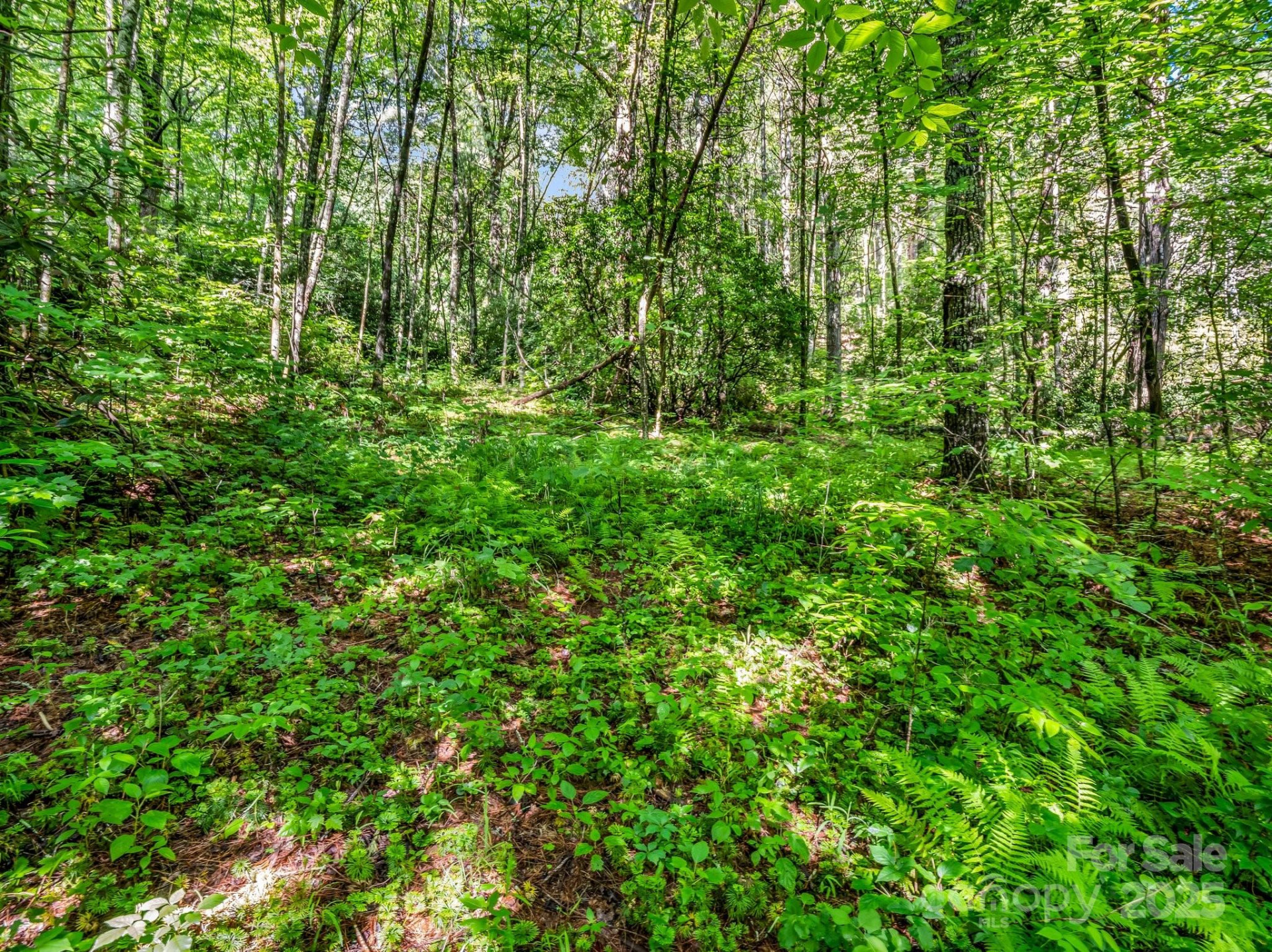 000 Climbing Road - Photo 15