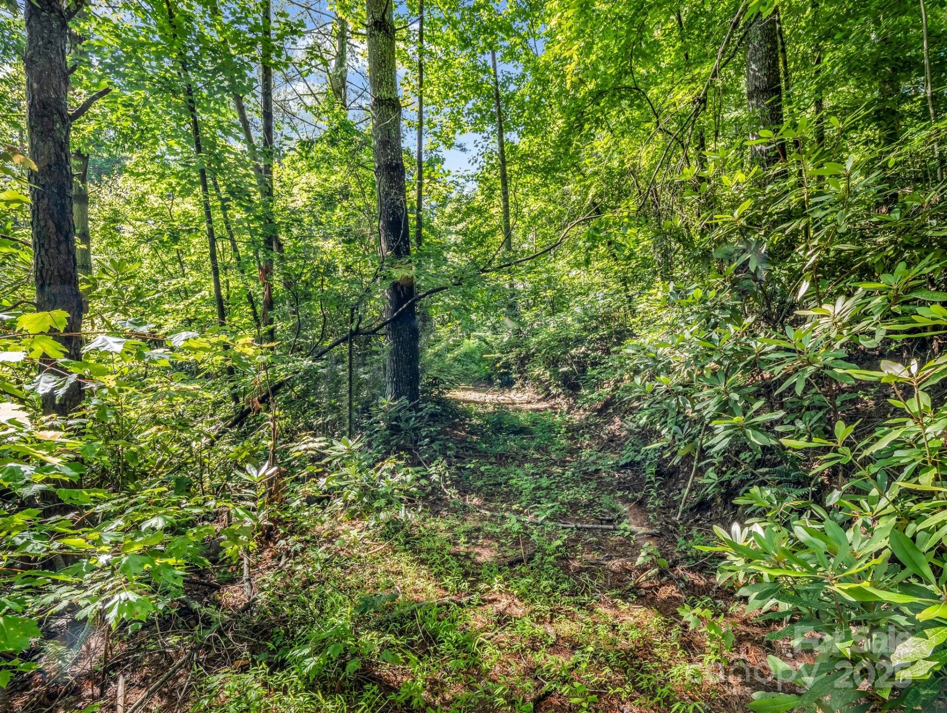 000 Climbing Road - Photo 17