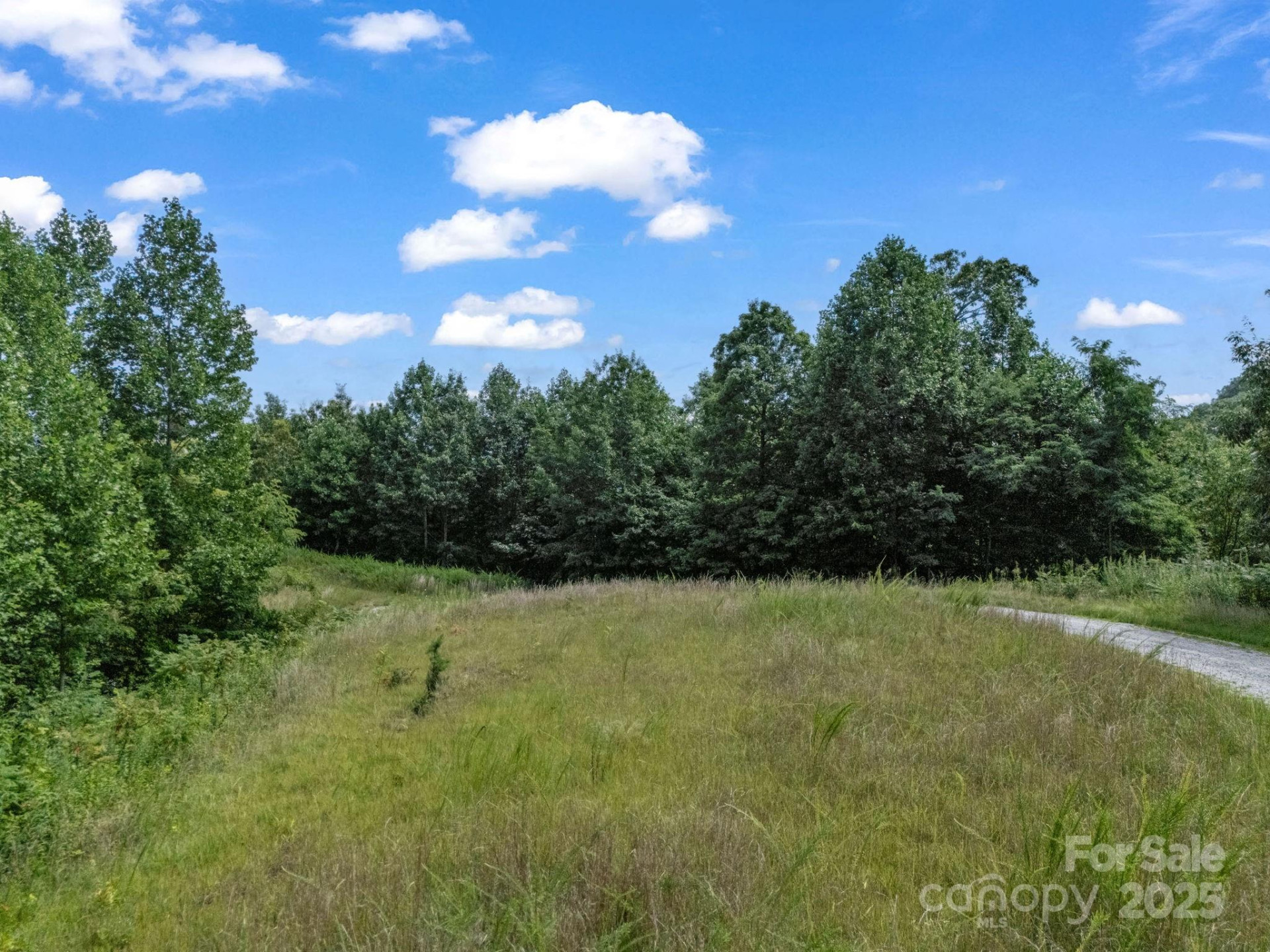 000 Climbing Road - Photo 19