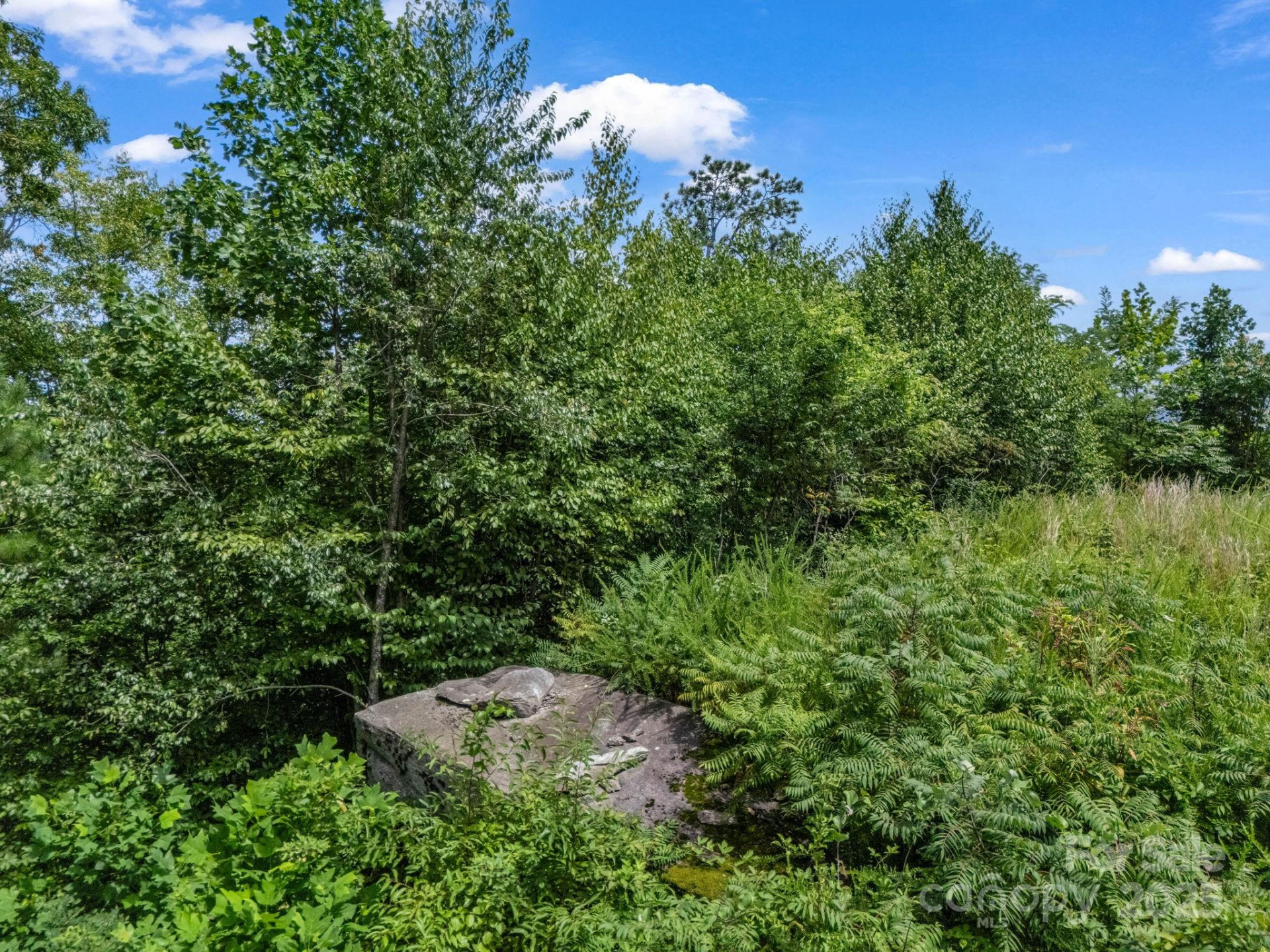 000 Climbing Road - Photo 29