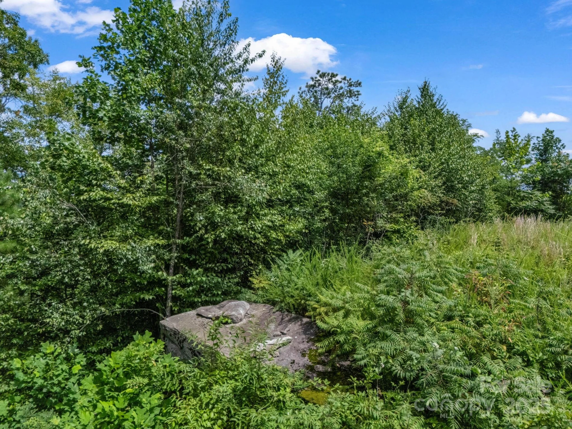 000 Climbing Road - Photo 29