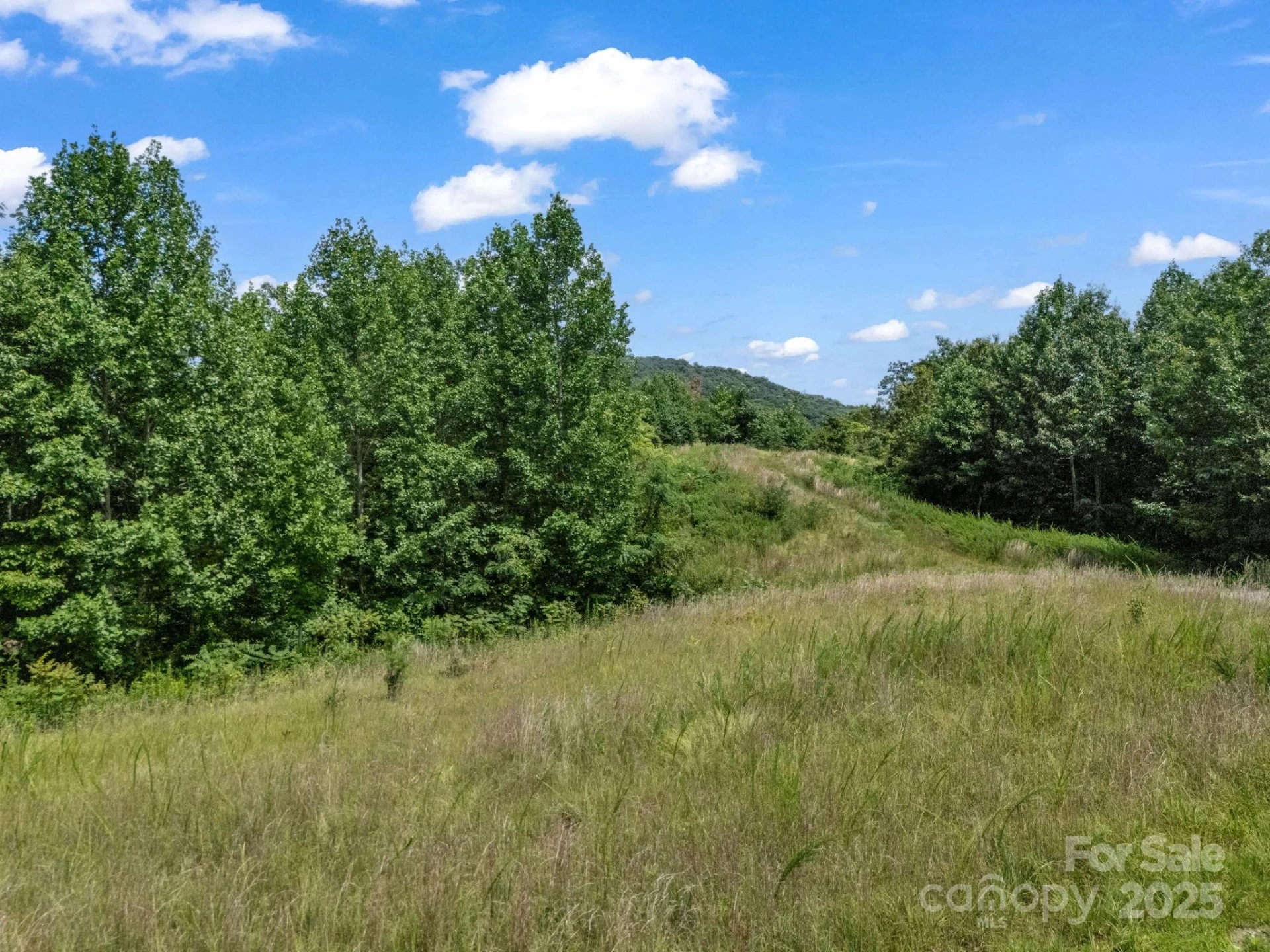 000 Climbing Road - Photo 5