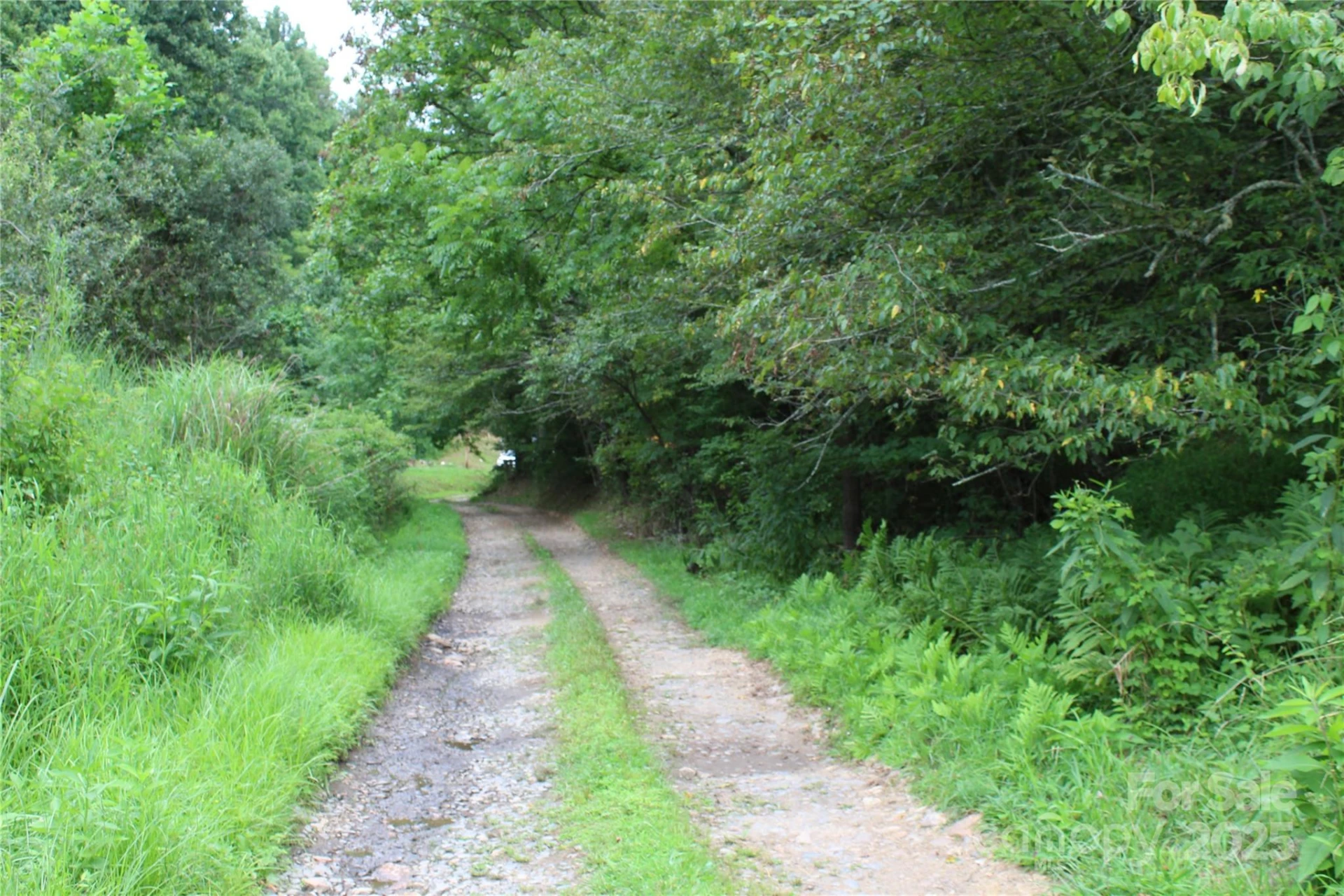 Lot 2 Cody Road - Photo 2
