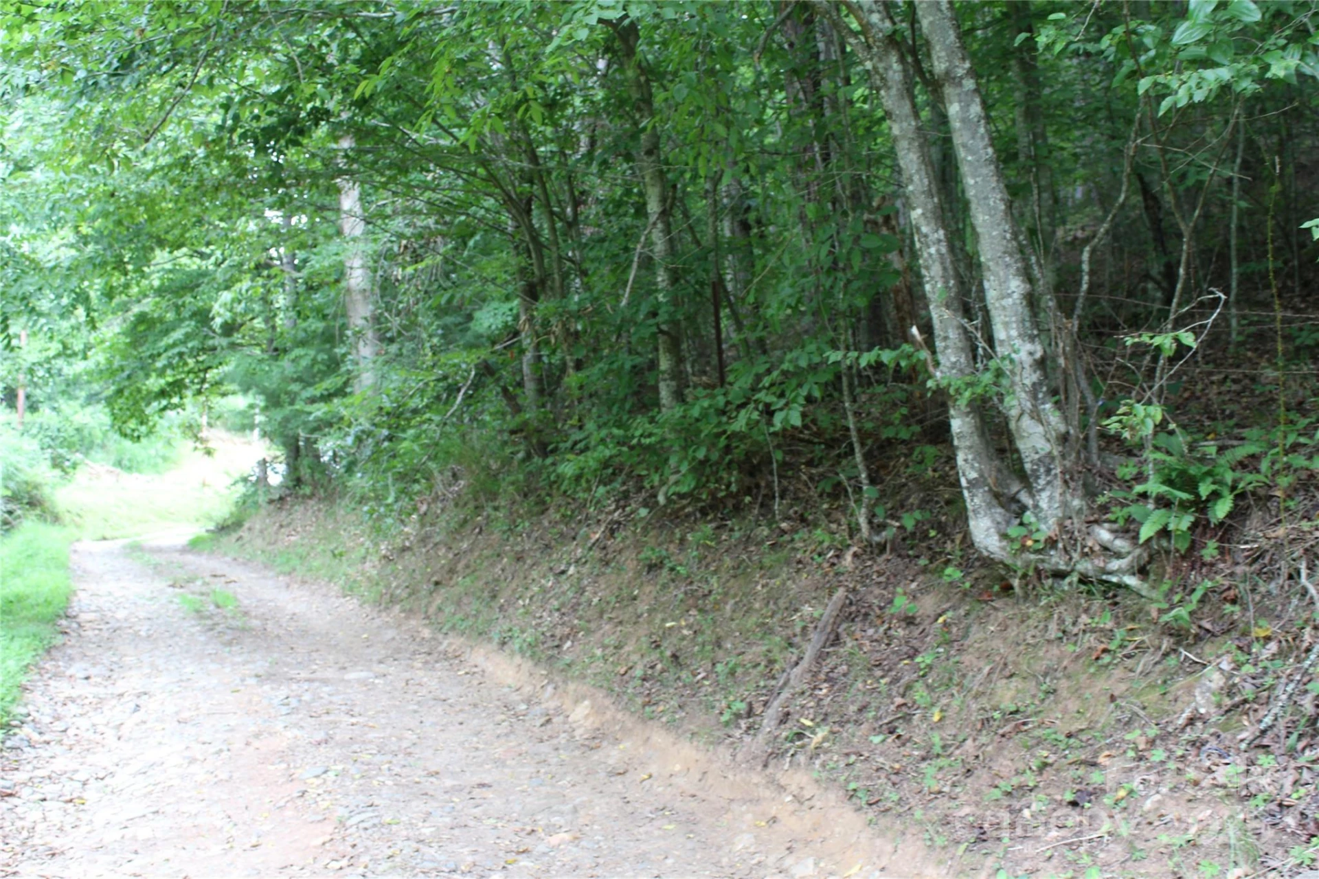 Lot 2 Cody Road - Photo 3