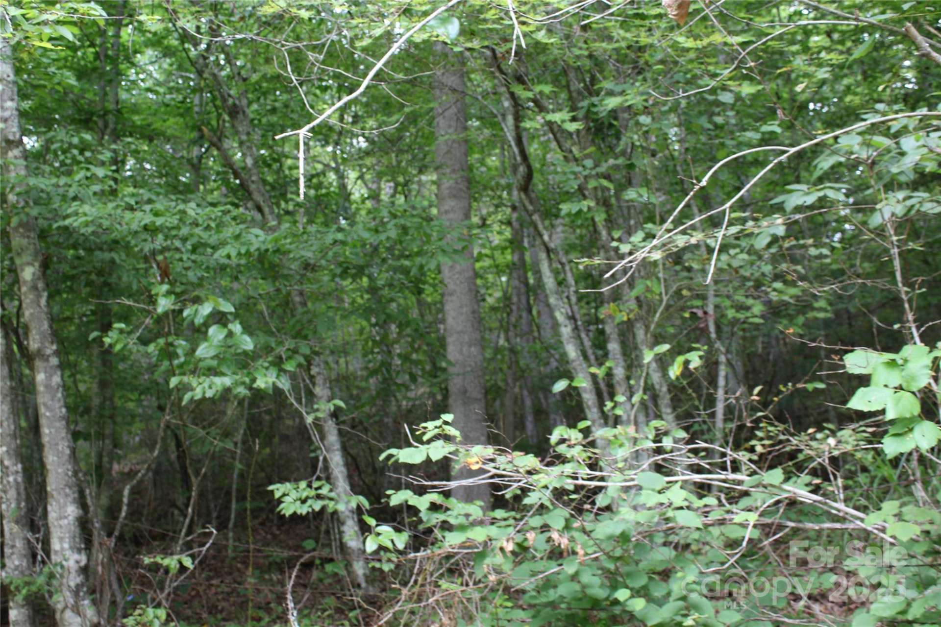 Lot 2 Cody Road - Photo 7