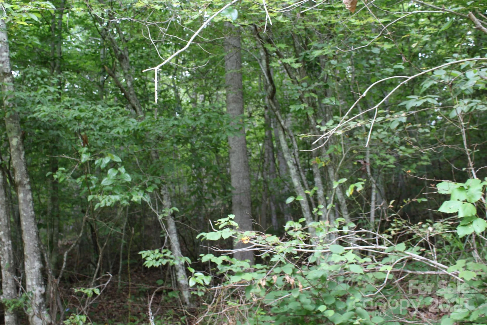 Lot 2 Cody Road - Photo 7