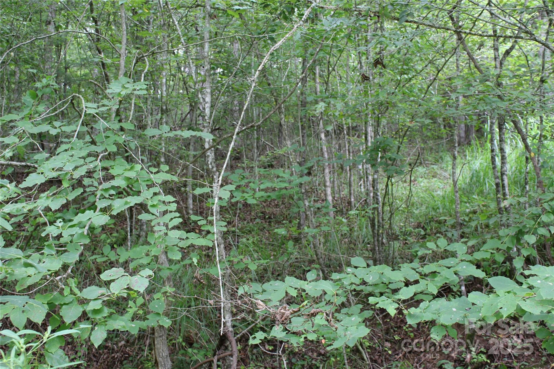 Lot 2 Cody Road - Photo 10