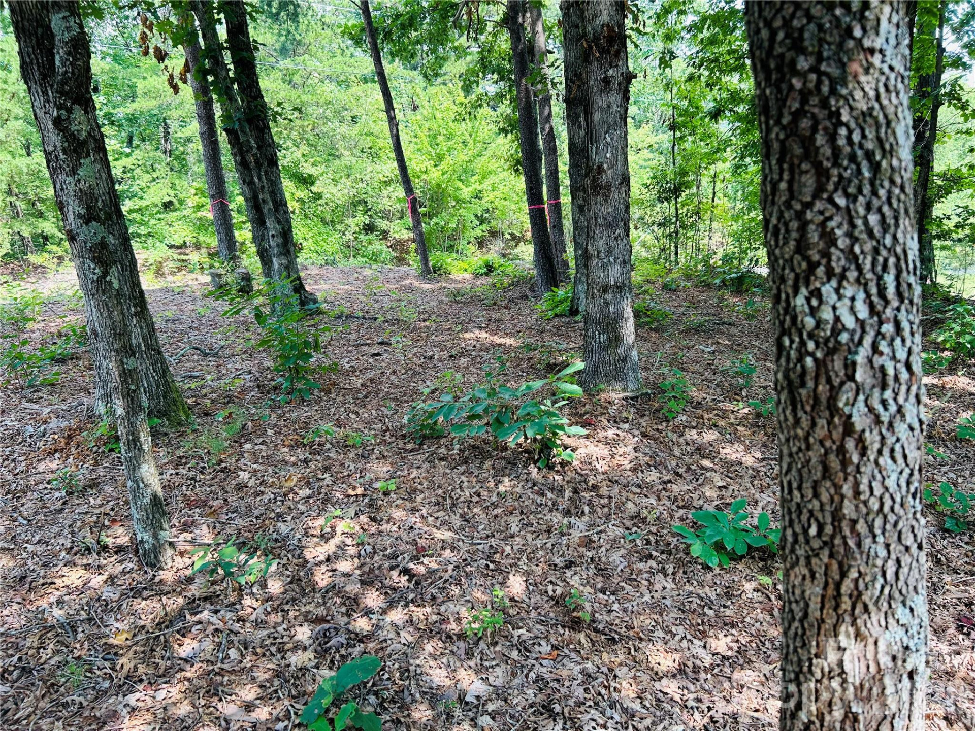 8799 Lisa Trail - Photo 39