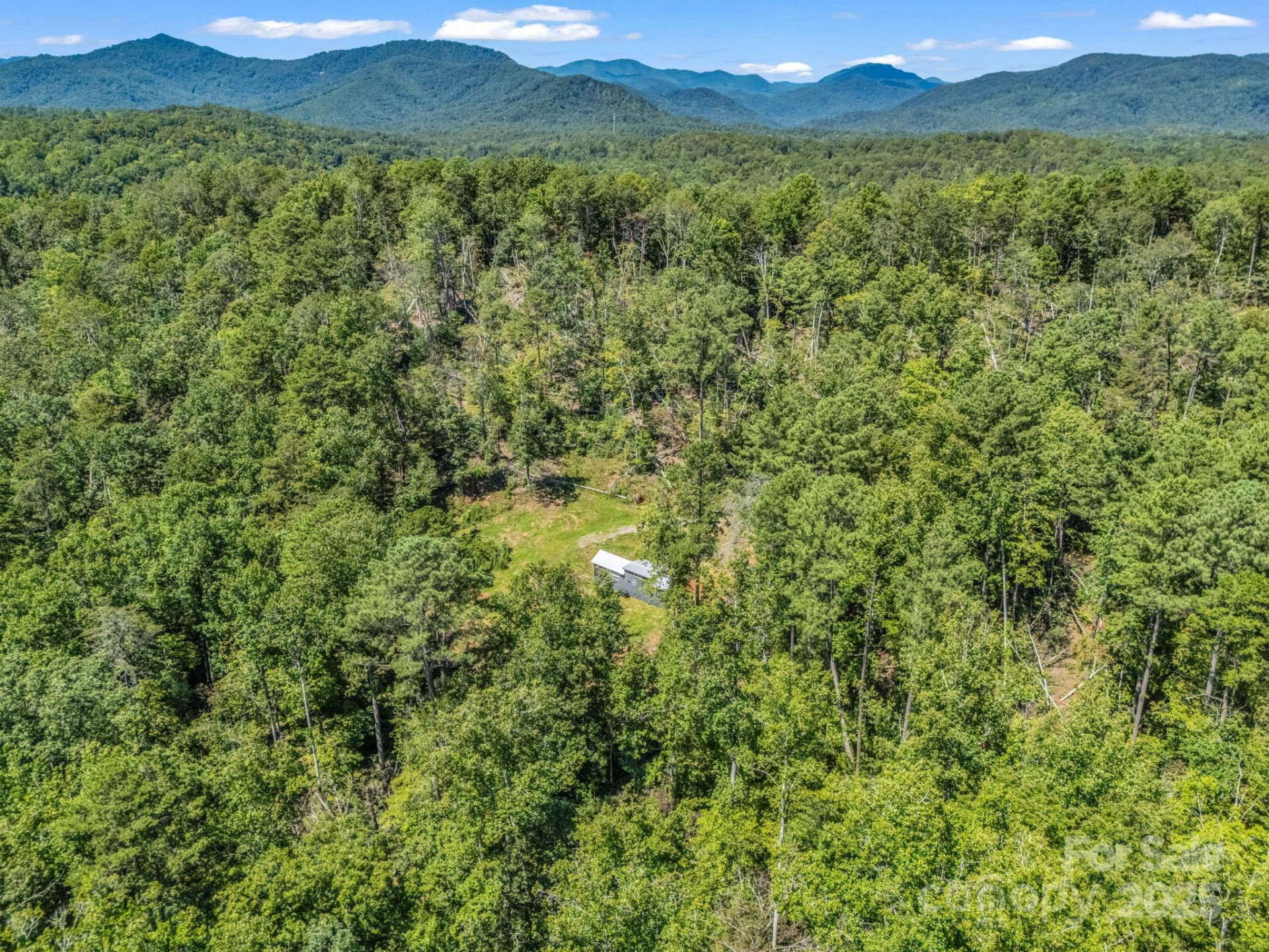 231 Wandering Bear Way - Photo 11