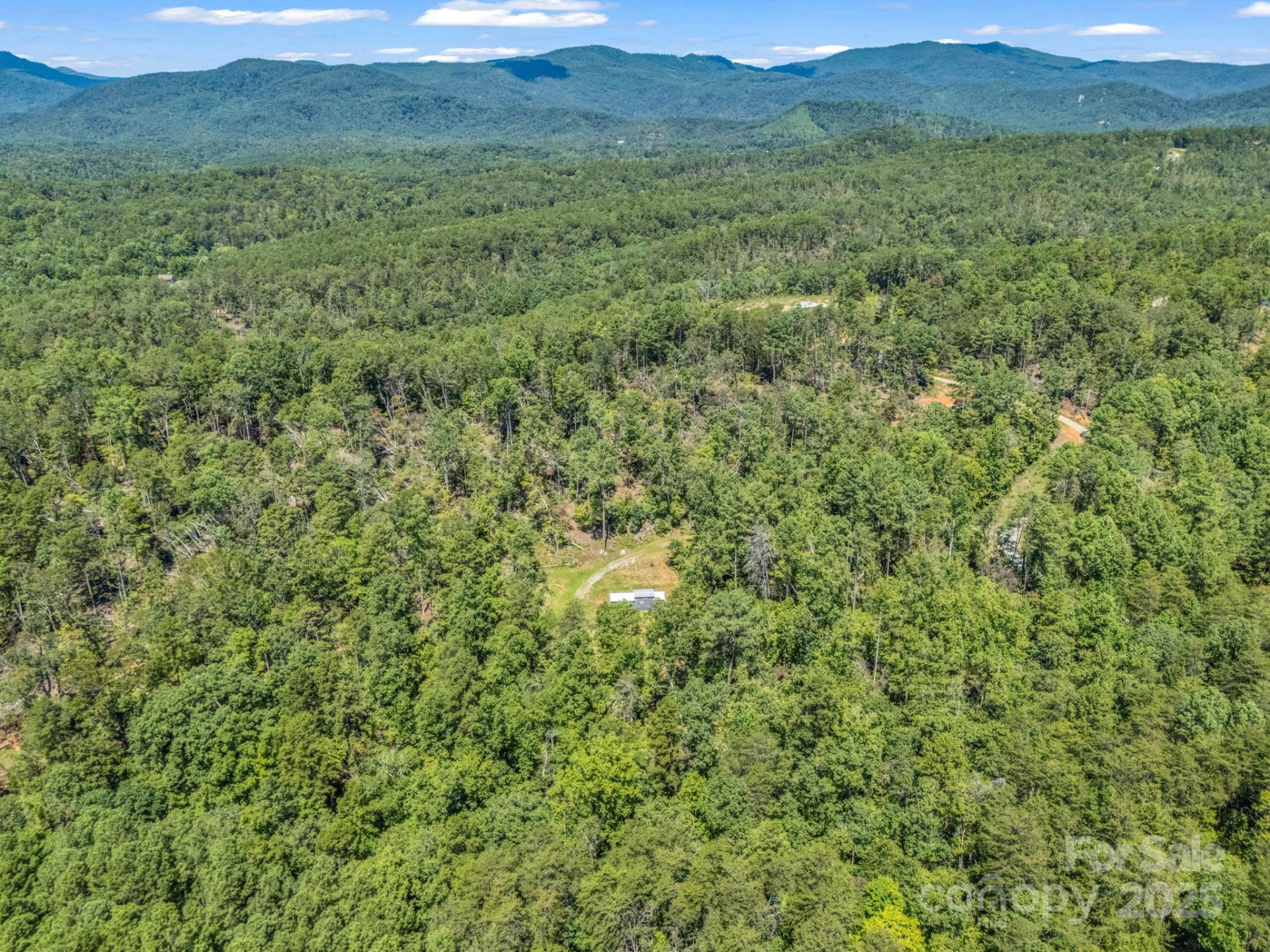 231 Wandering Bear Way - Photo 12