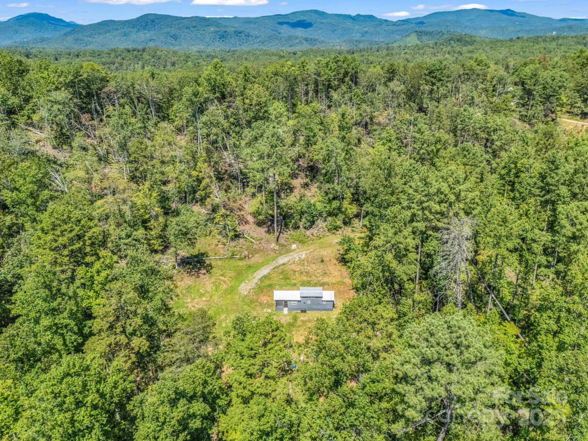 231 Wandering Bear Way - Photo 13