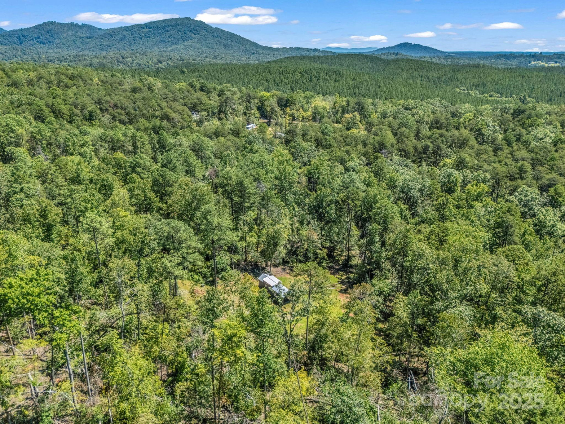 231 Wandering Bear Way - Photo 14