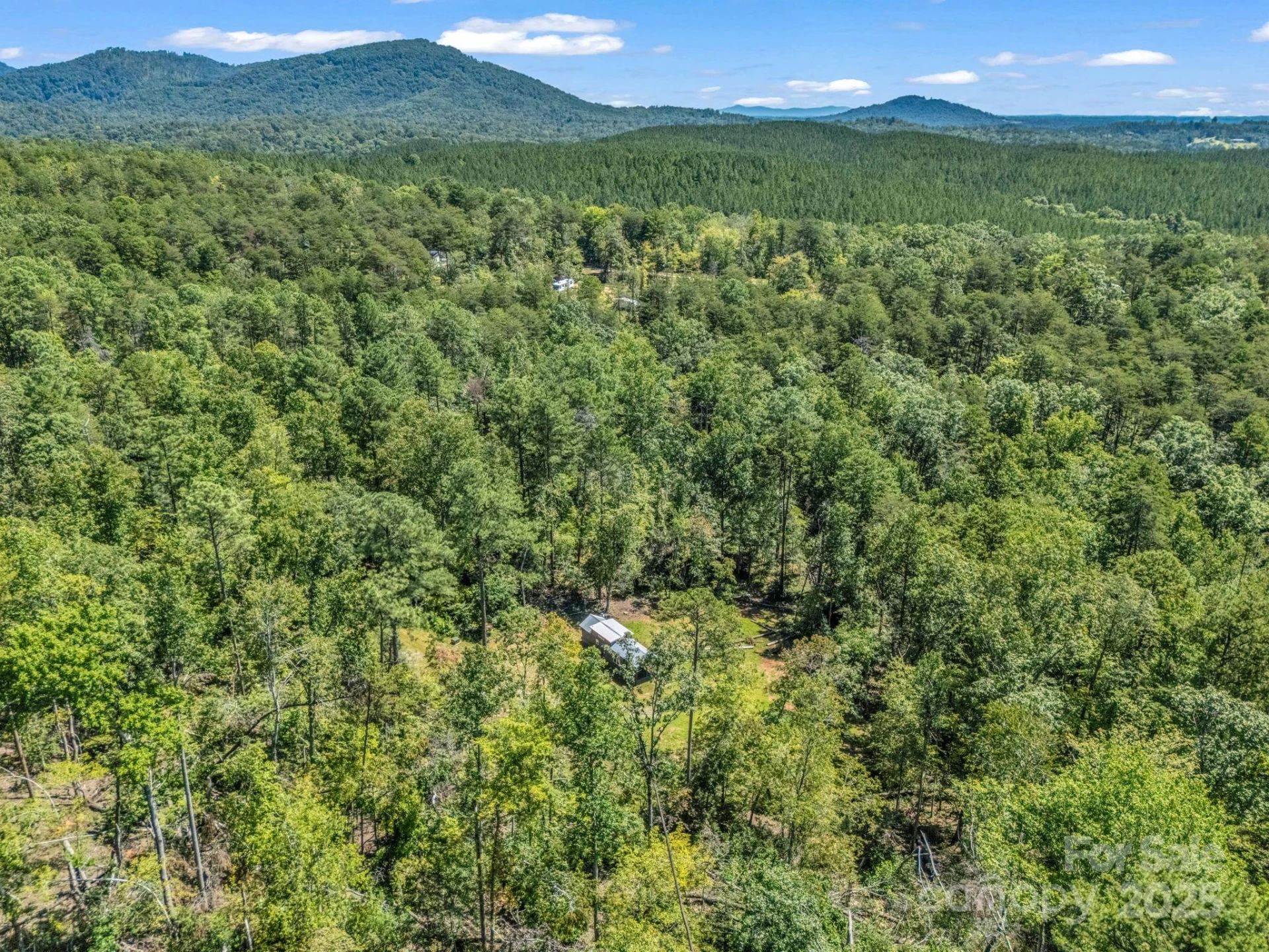 231 Wandering Bear Way - Photo 14