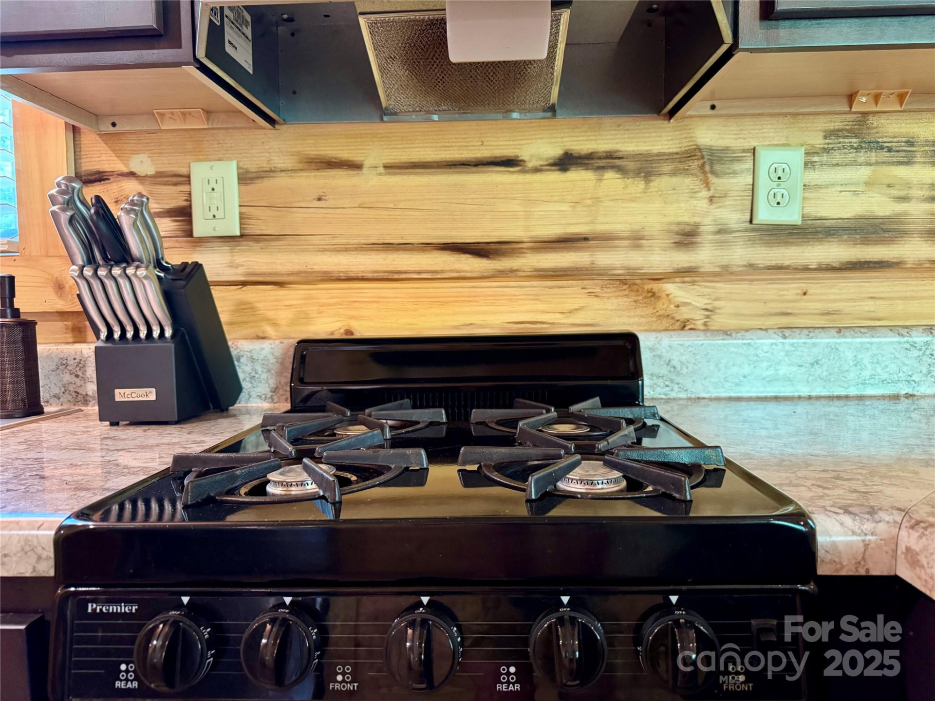 231 Wandering Bear Way - Photo 19