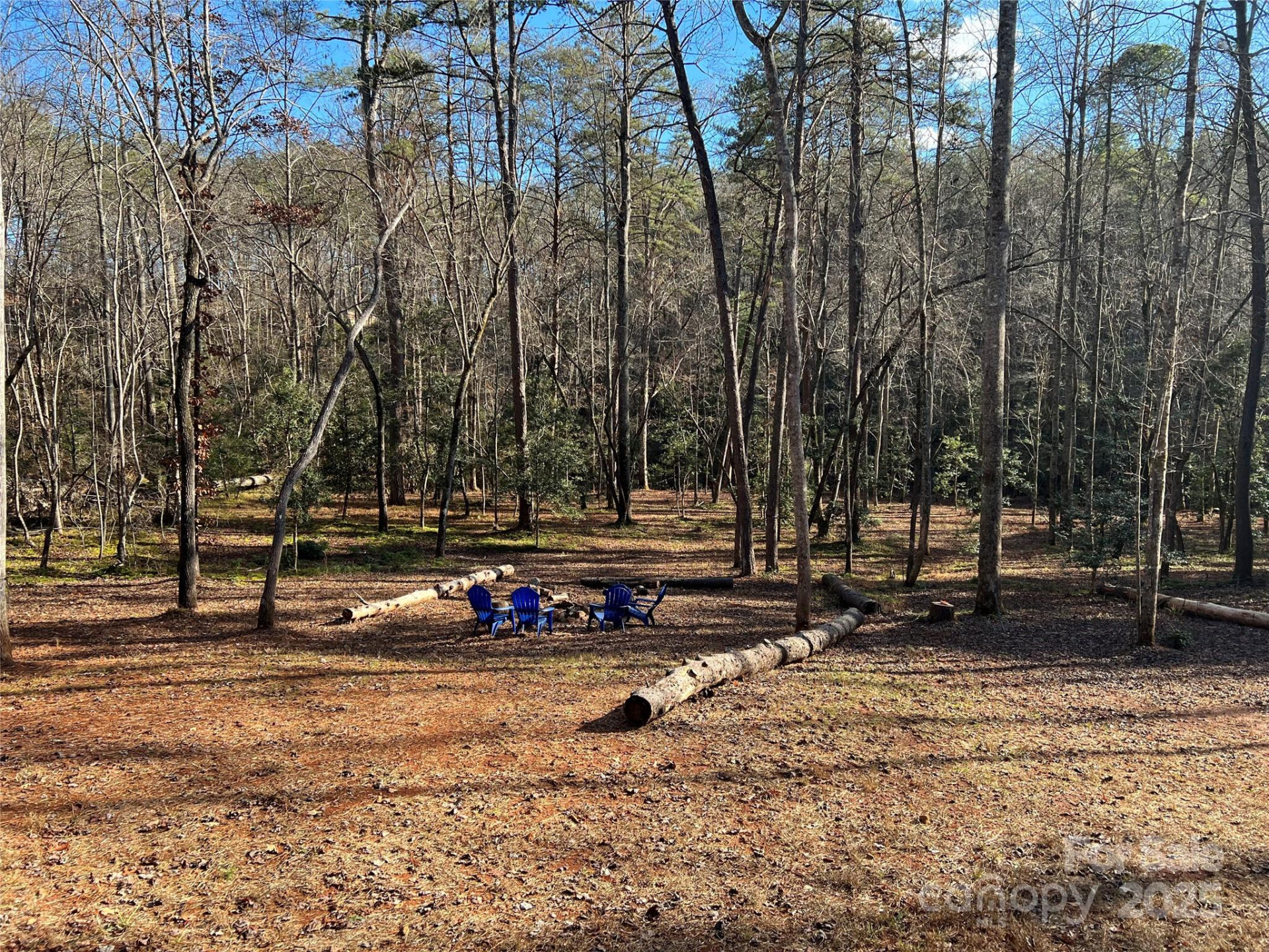 231 Wandering Bear Way - Photo 32