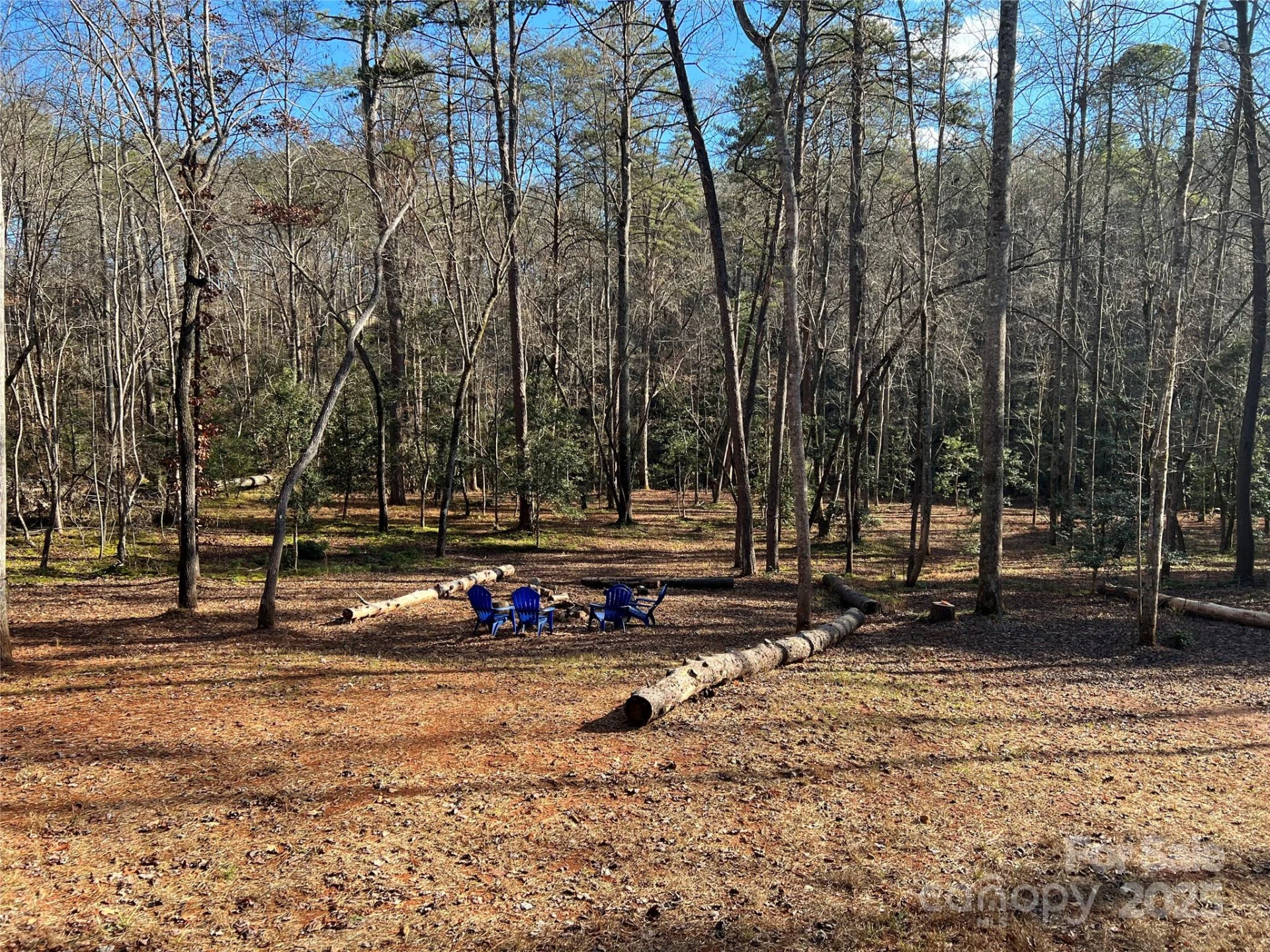 231 Wandering Bear Way - Photo 32
