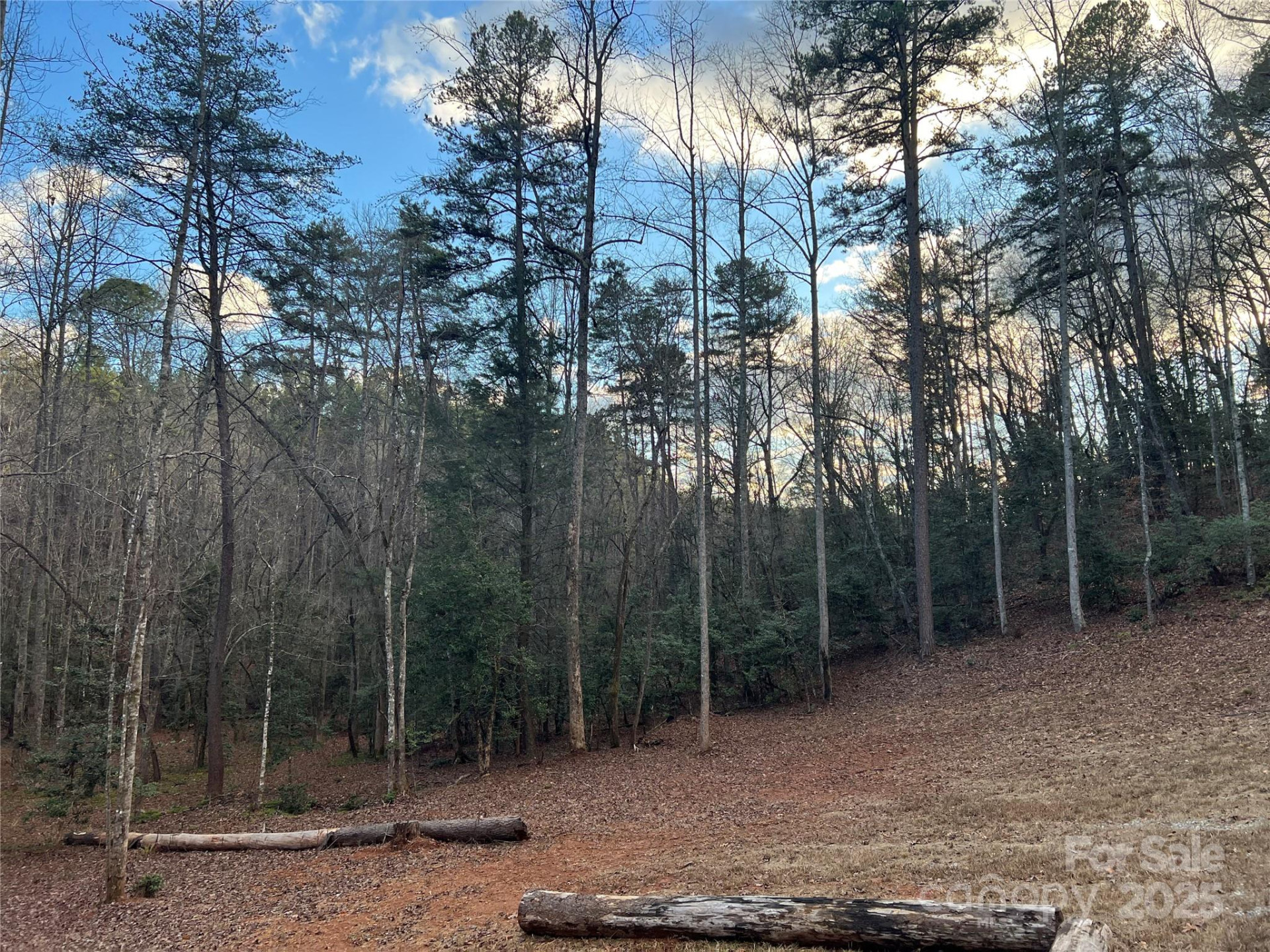 231 Wandering Bear Way - Photo 33