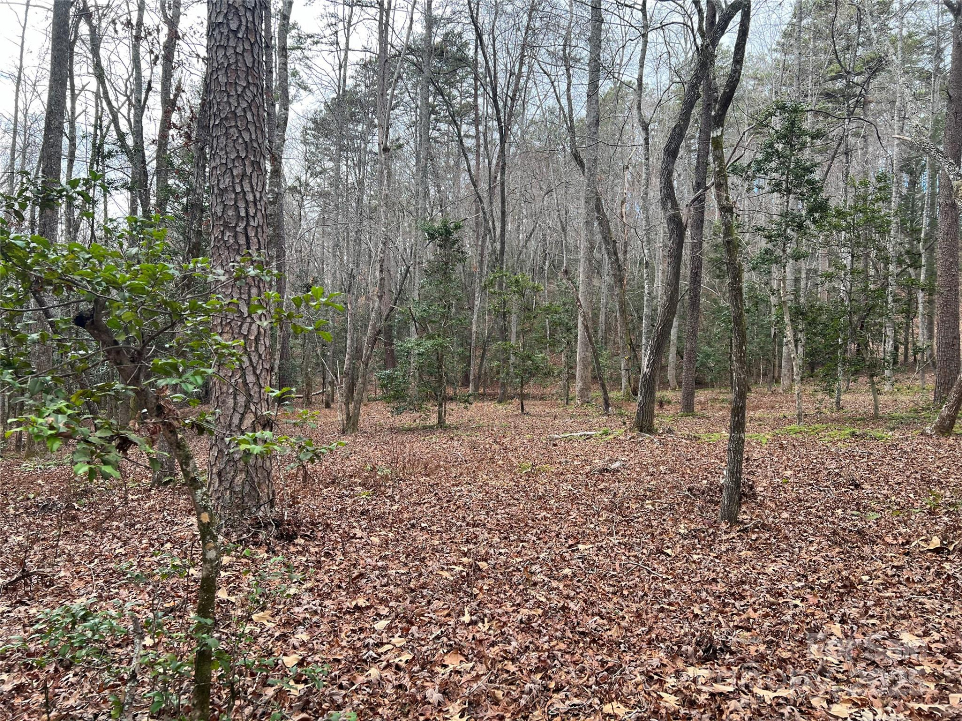 231 Wandering Bear Way - Photo 34