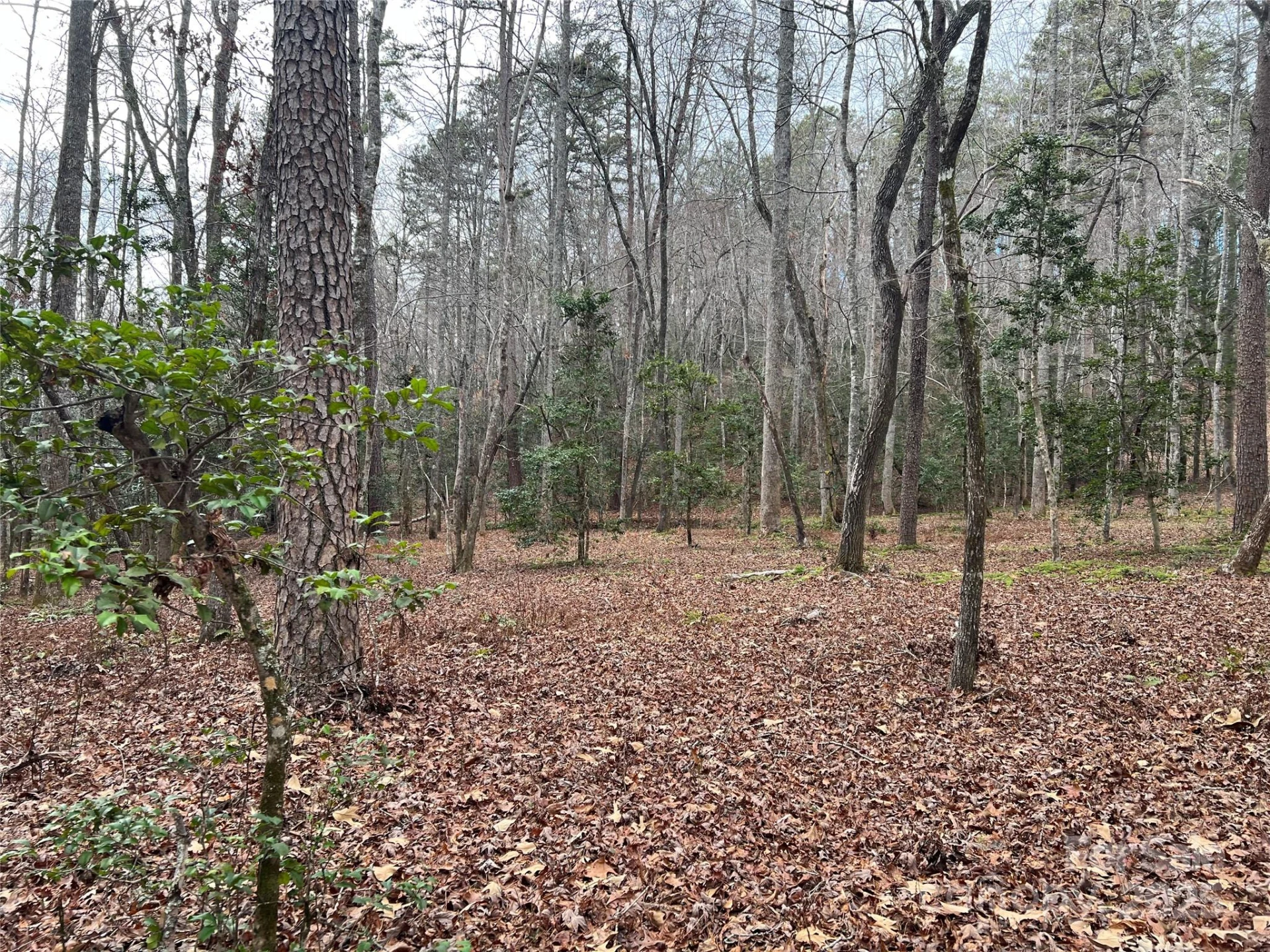231 Wandering Bear Way - Photo 34