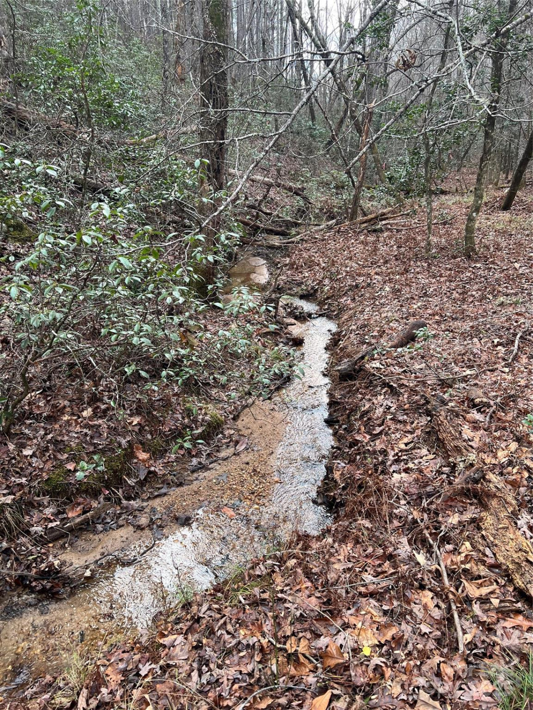 231 Wandering Bear Way - Photo 35