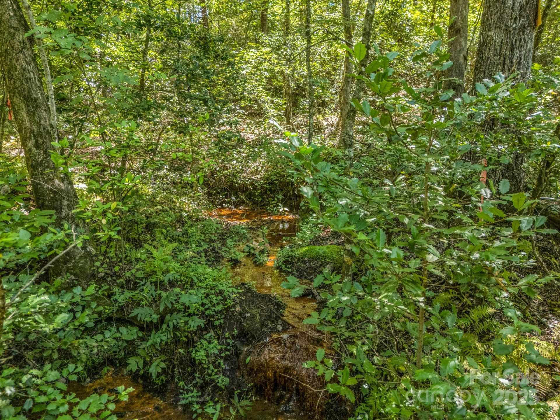 231 Wandering Bear Way - Photo 36