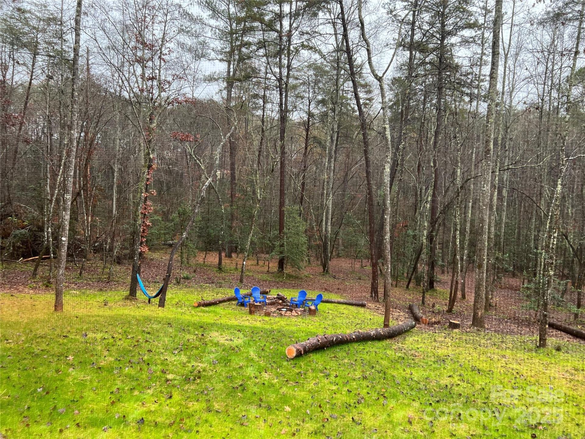 231 Wandering Bear Way - Photo 37