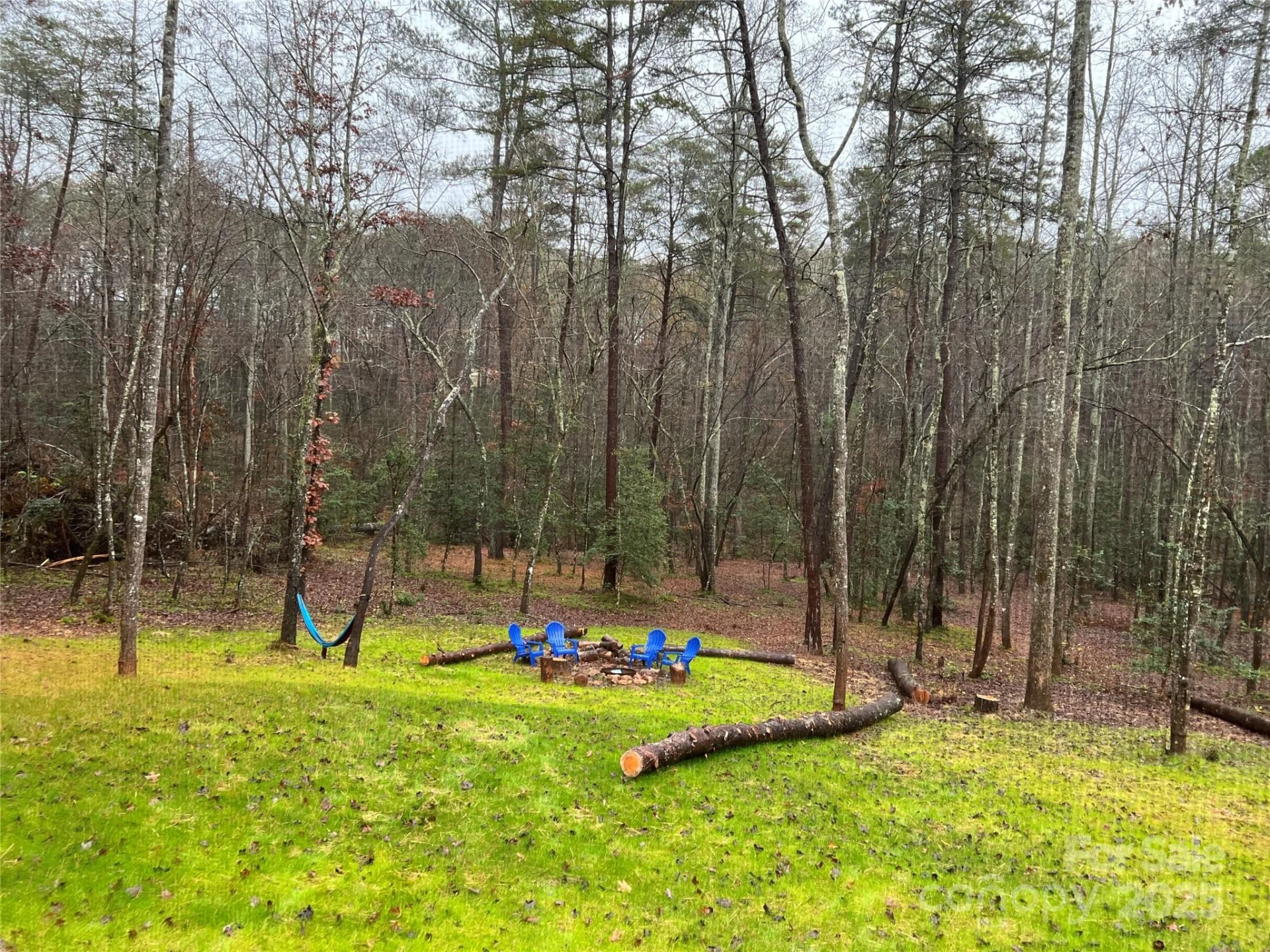 231 Wandering Bear Way - Photo 37