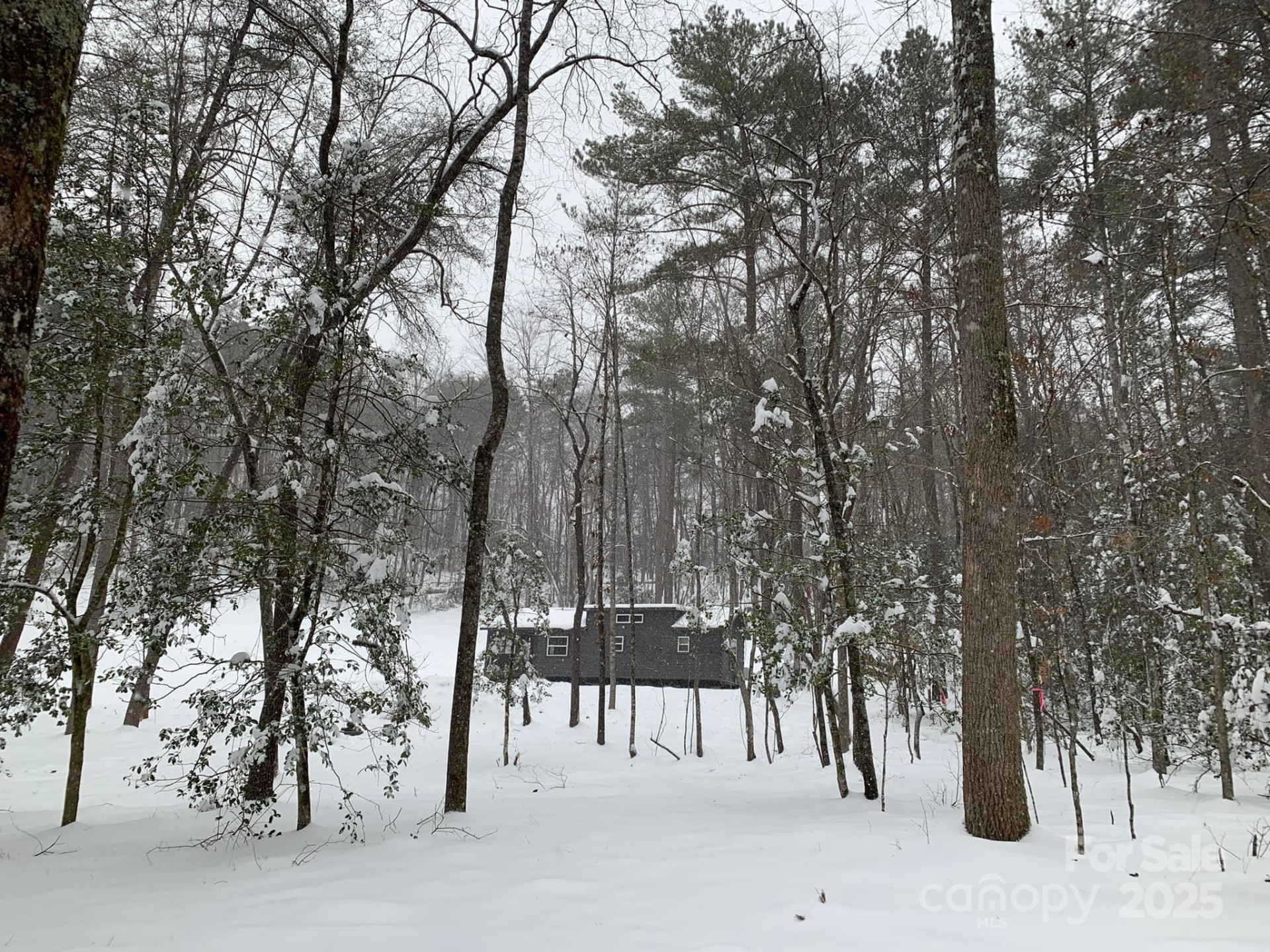 231 Wandering Bear Way - Photo 38