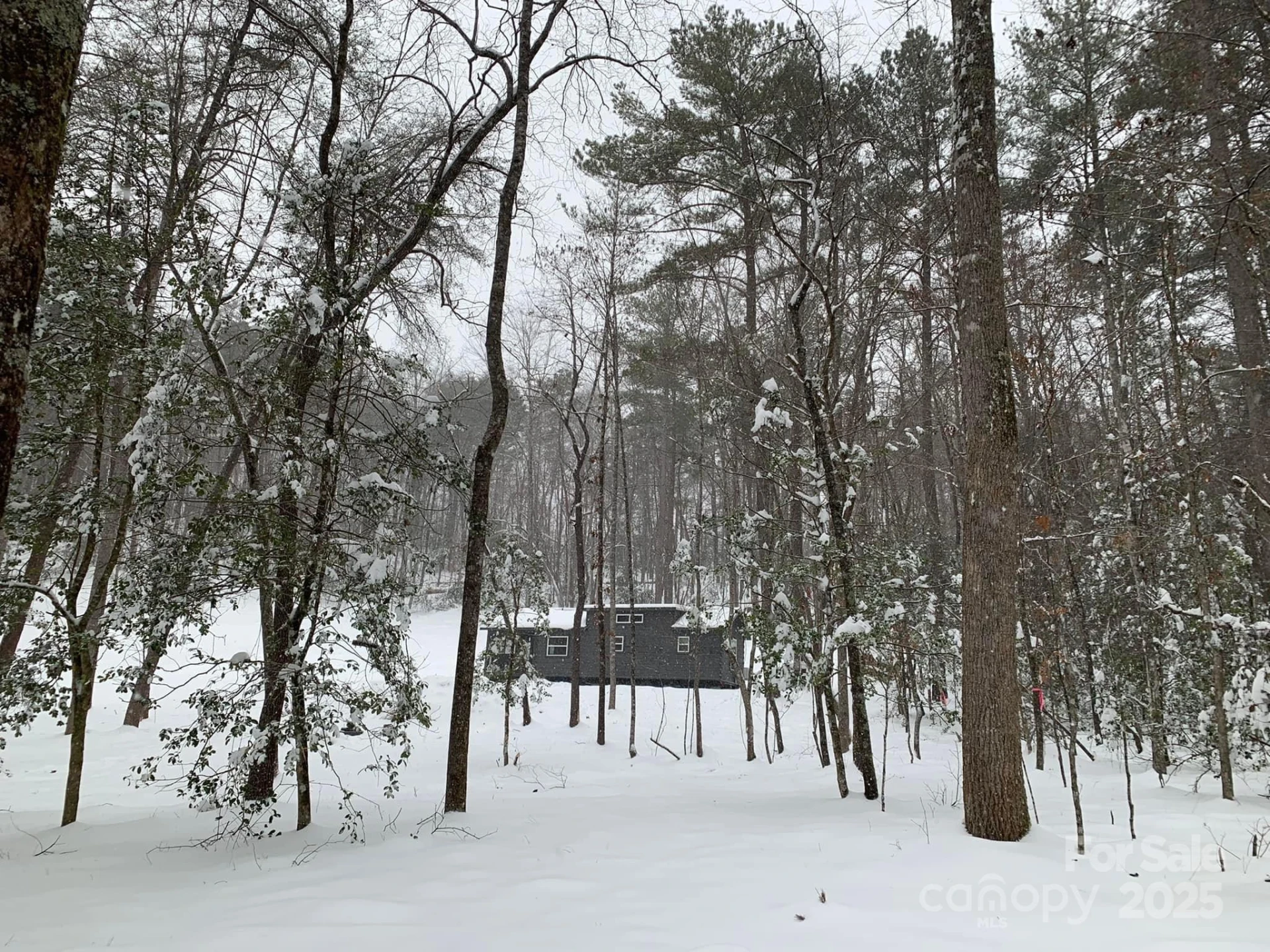 231 Wandering Bear Way - Photo 38