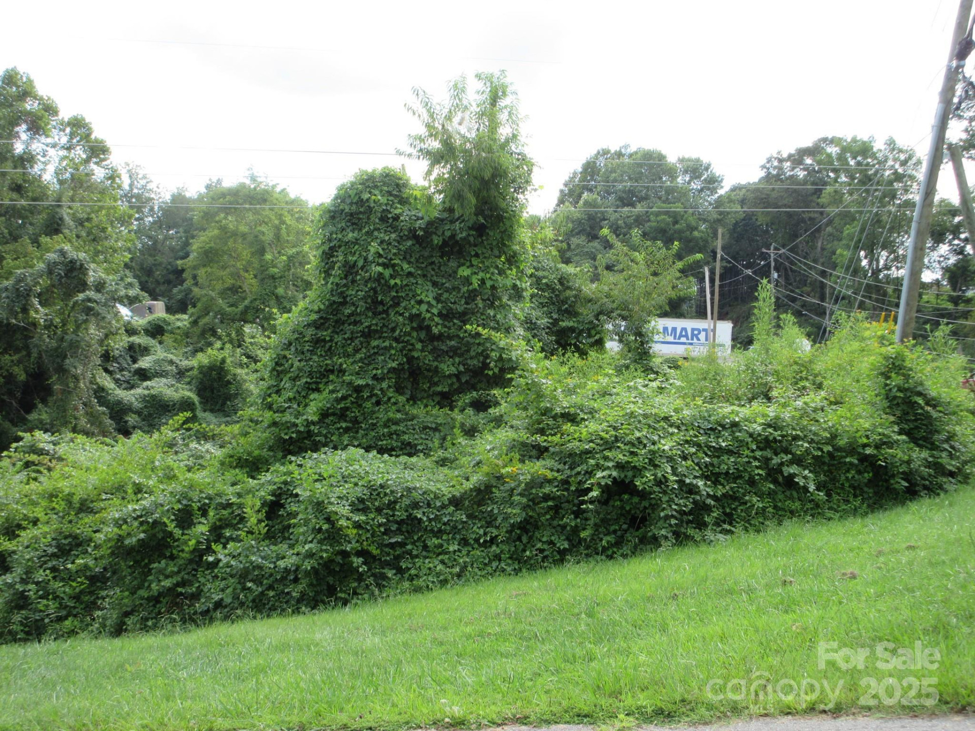 3 Belgium Lane - Photo 2