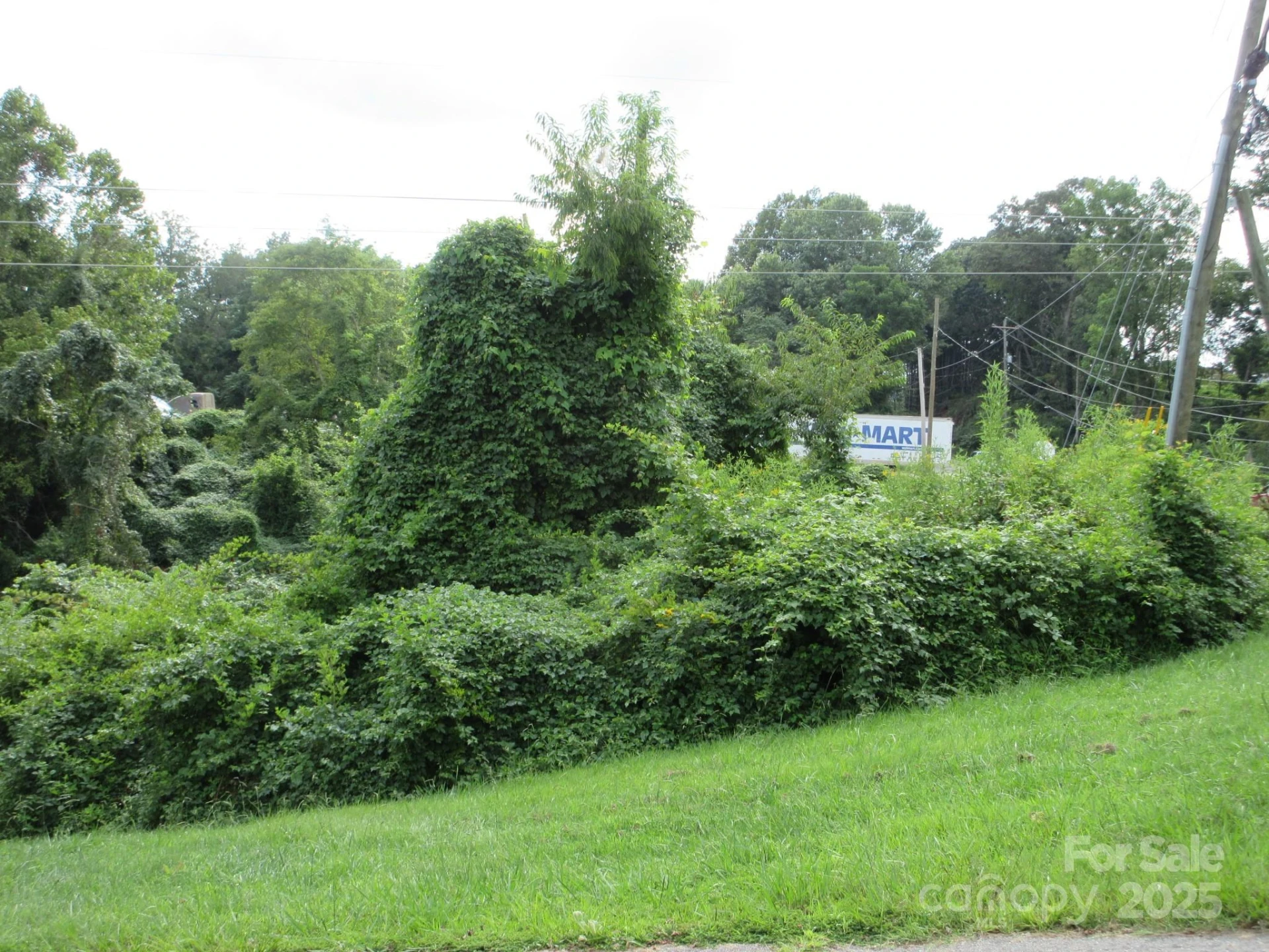 3 Belgium Lane - Photo 2