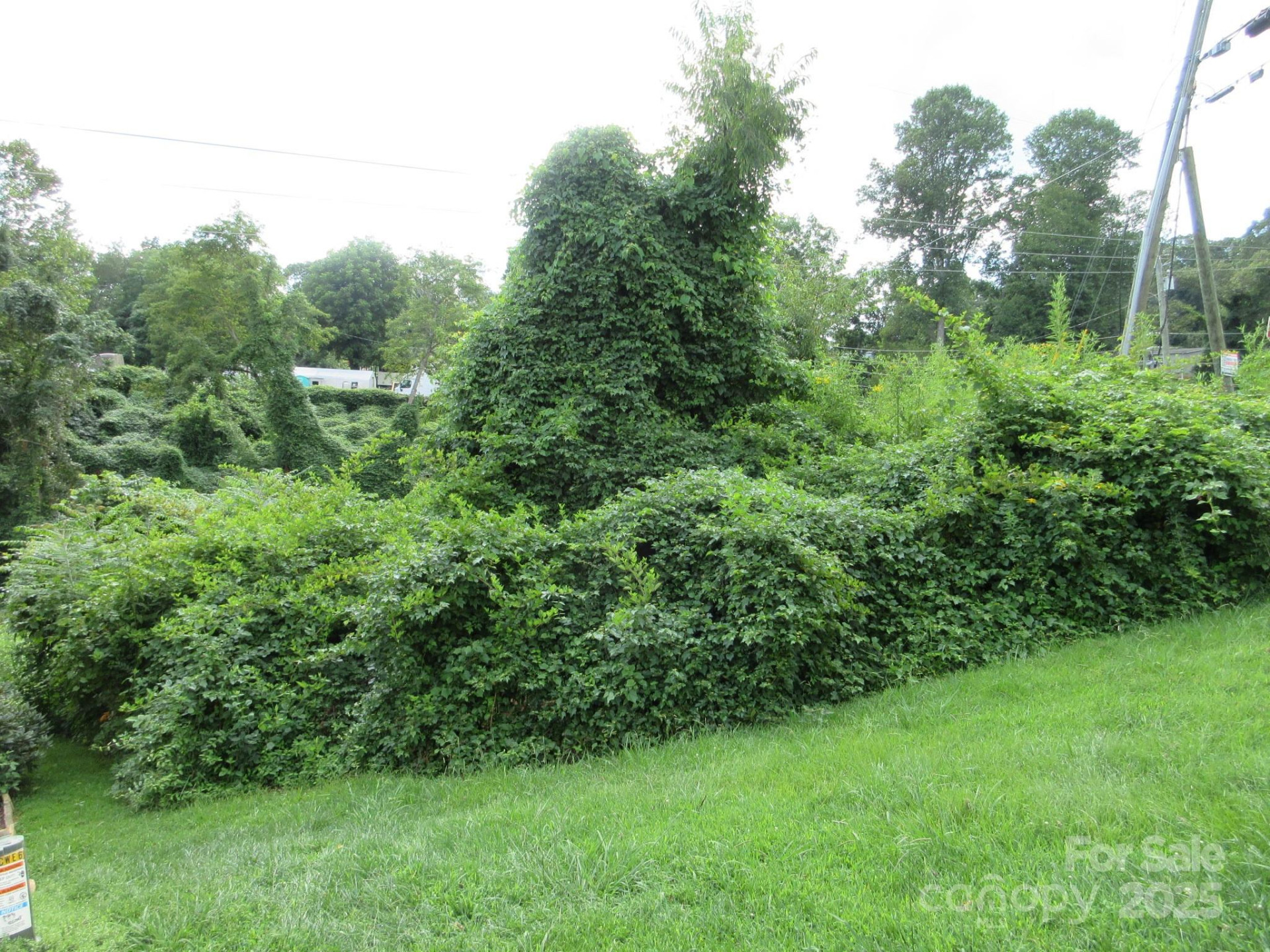 3 Belgium Lane - Photo 3