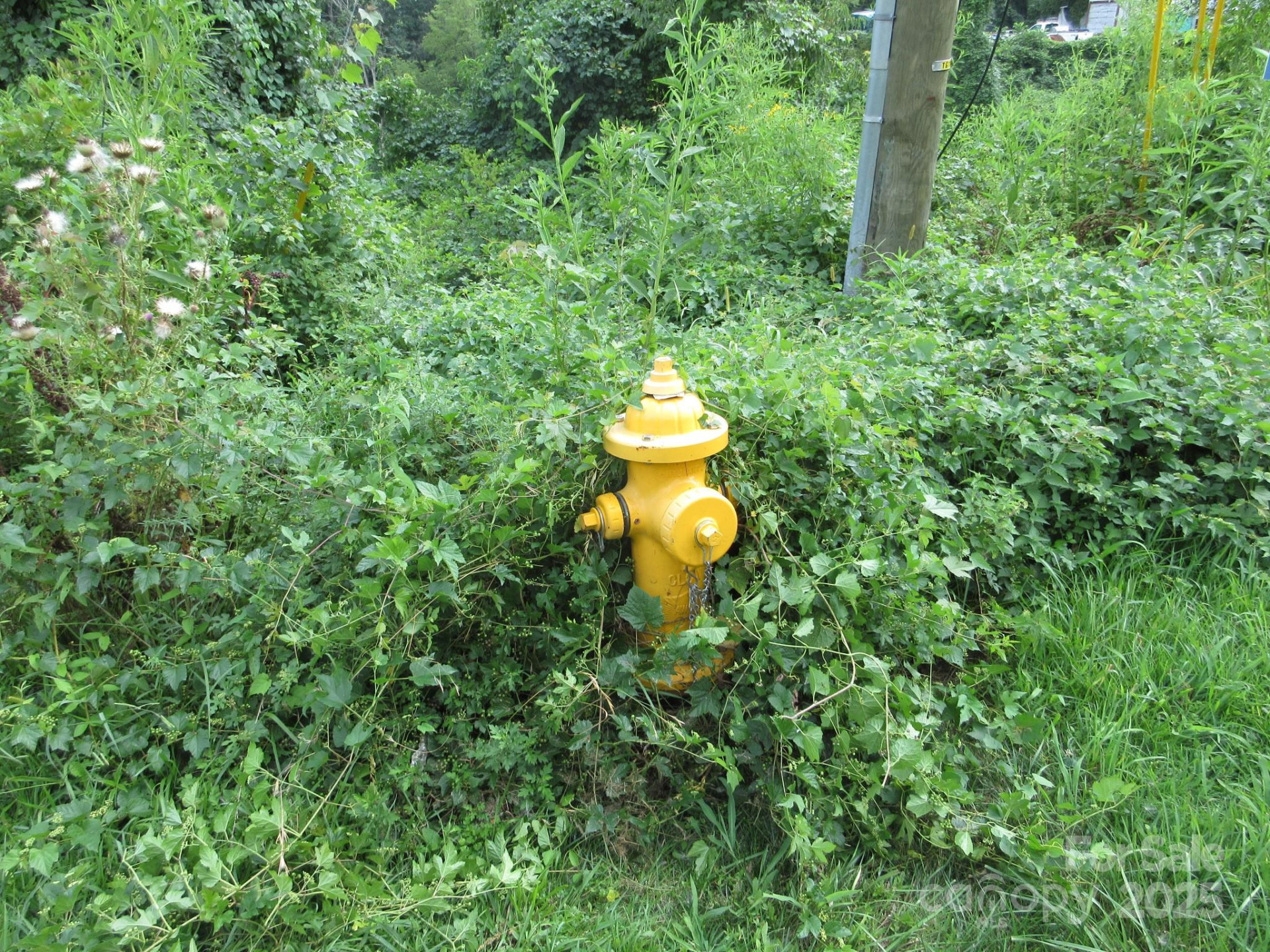 3 Belgium Lane - Photo 4