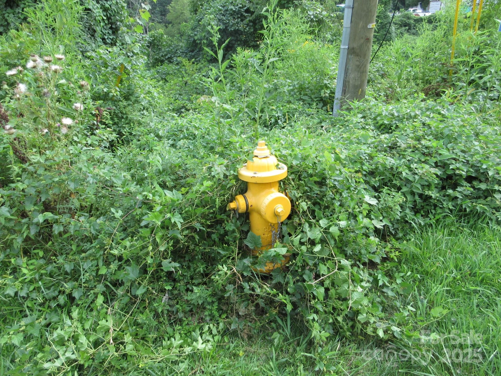 3 Belgium Lane - Photo 4