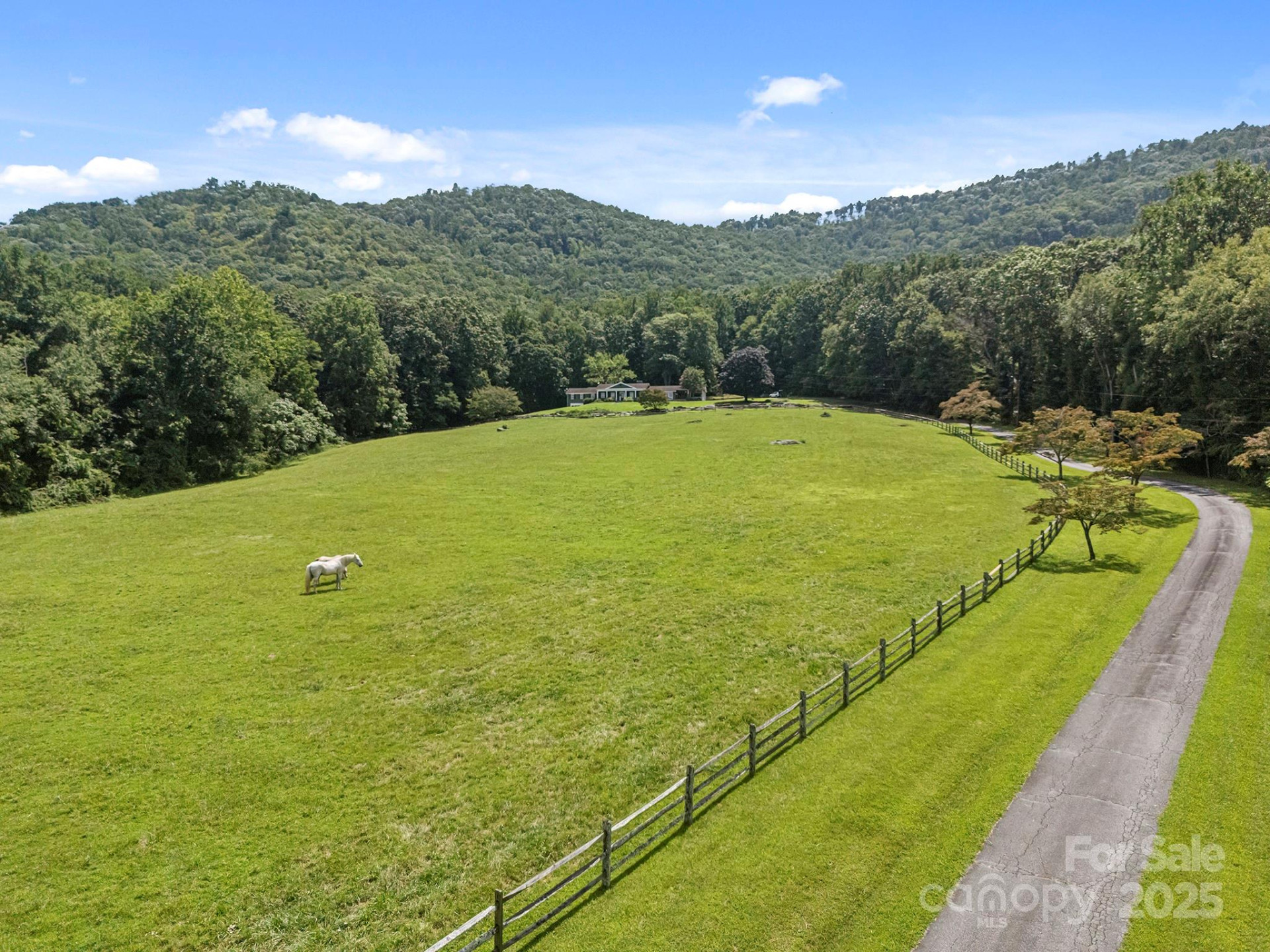 193 Duncan Creek Road - Photo 8