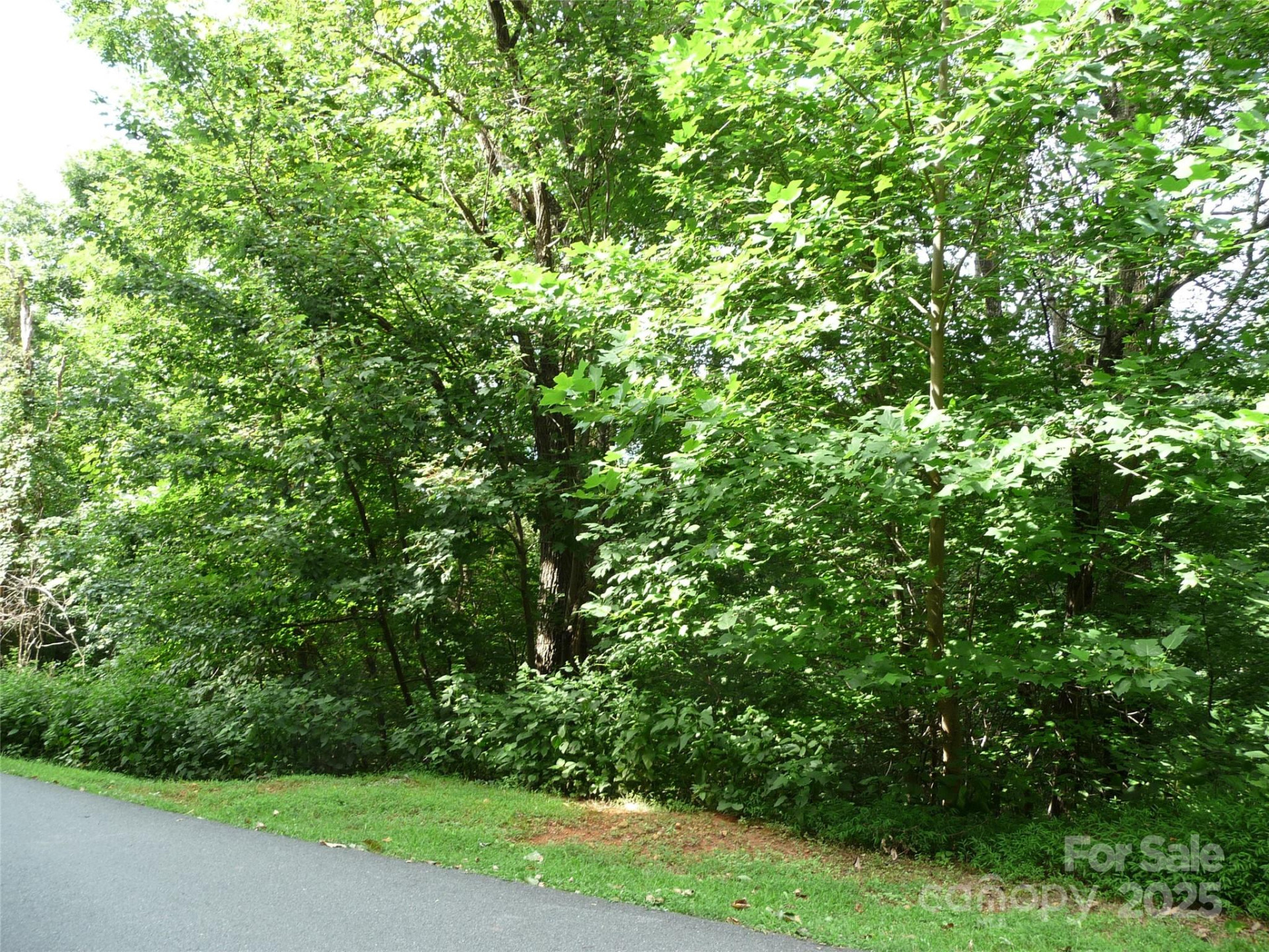 Lot 35 Morning Ride Drive #Lot 35 - Photo 3