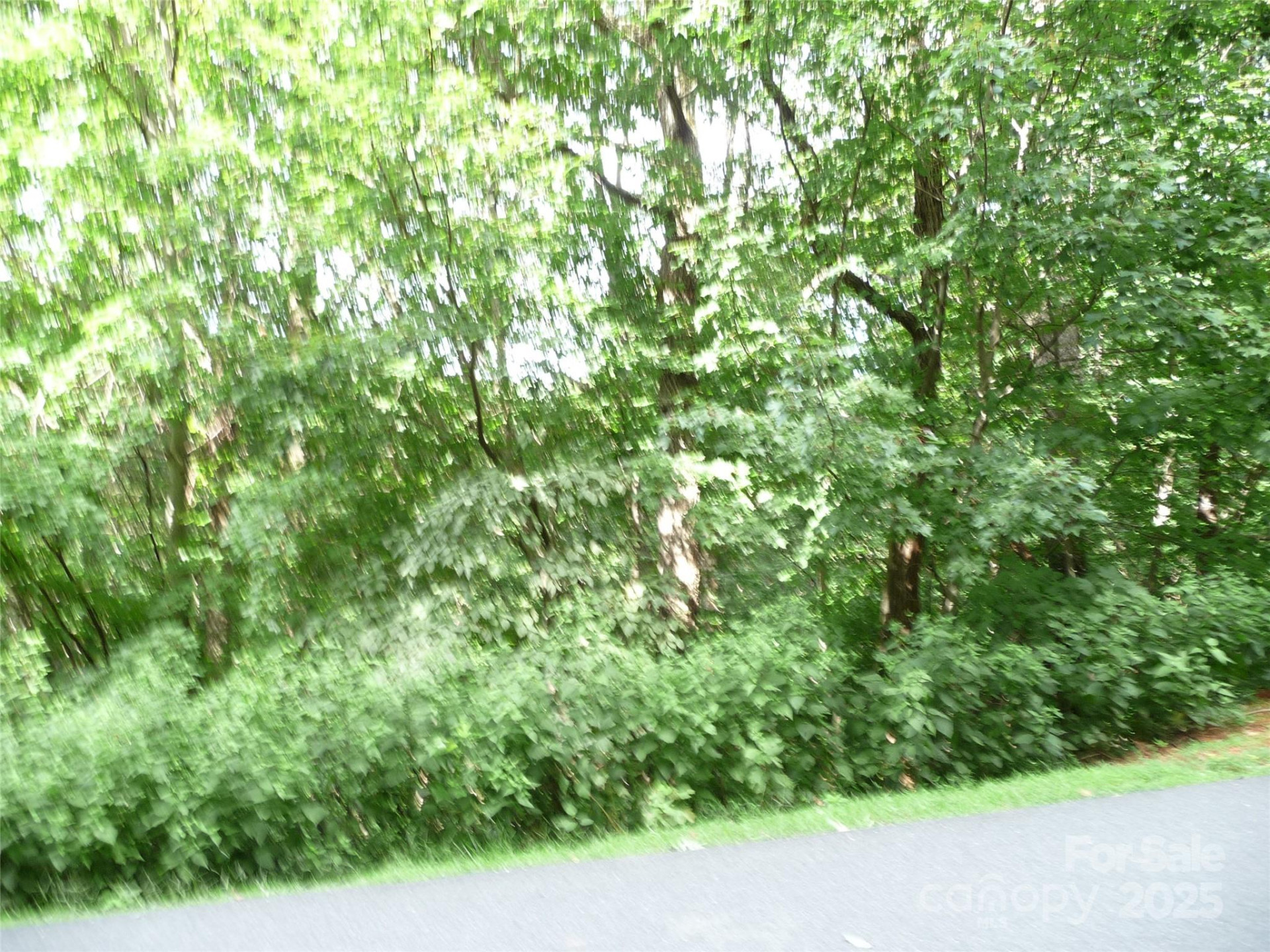 Lot 35 Morning Ride Drive #Lot 35 - Photo 5