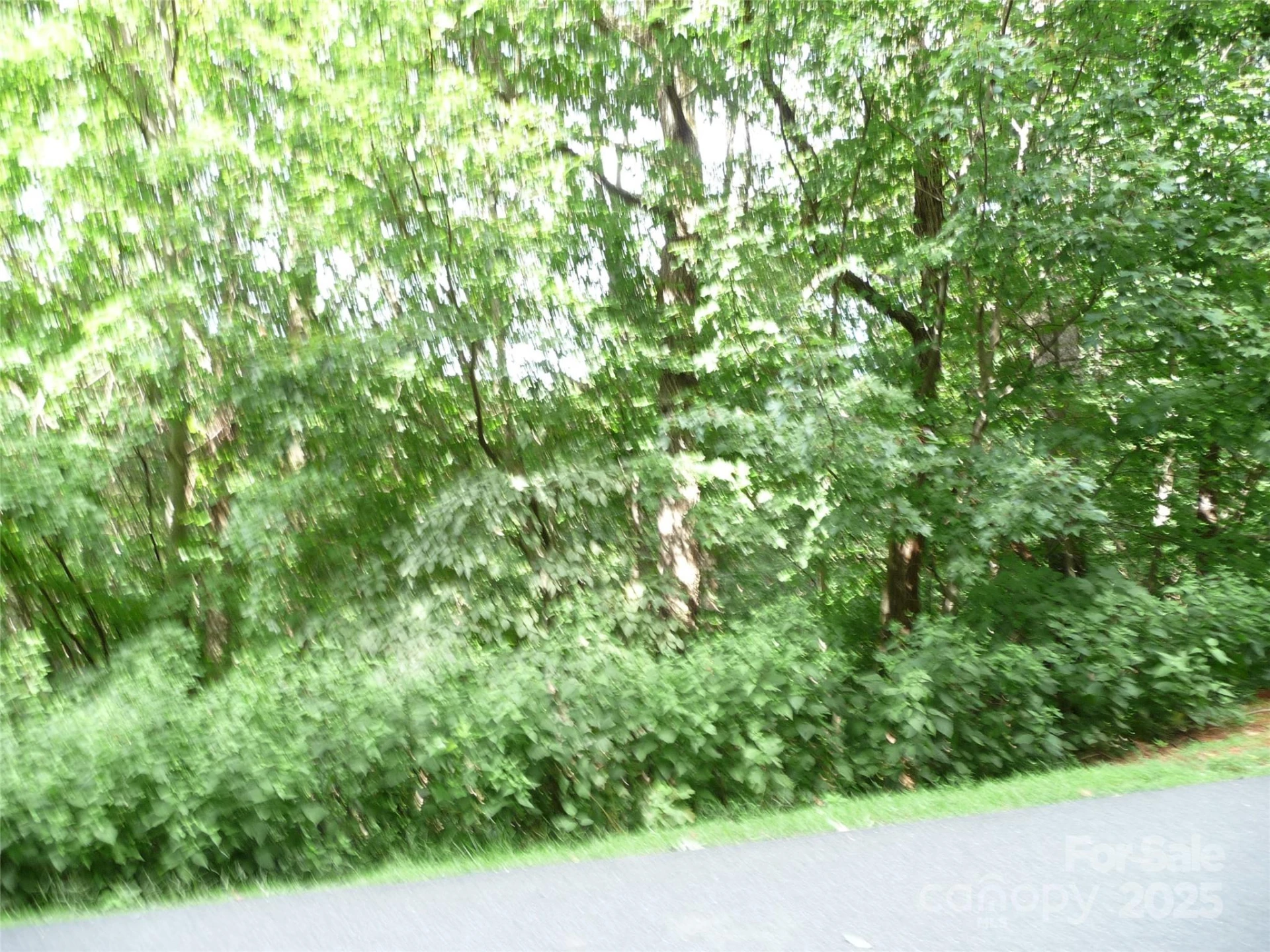 Lot 35 Morning Ride Drive #Lot 35 - Photo 5